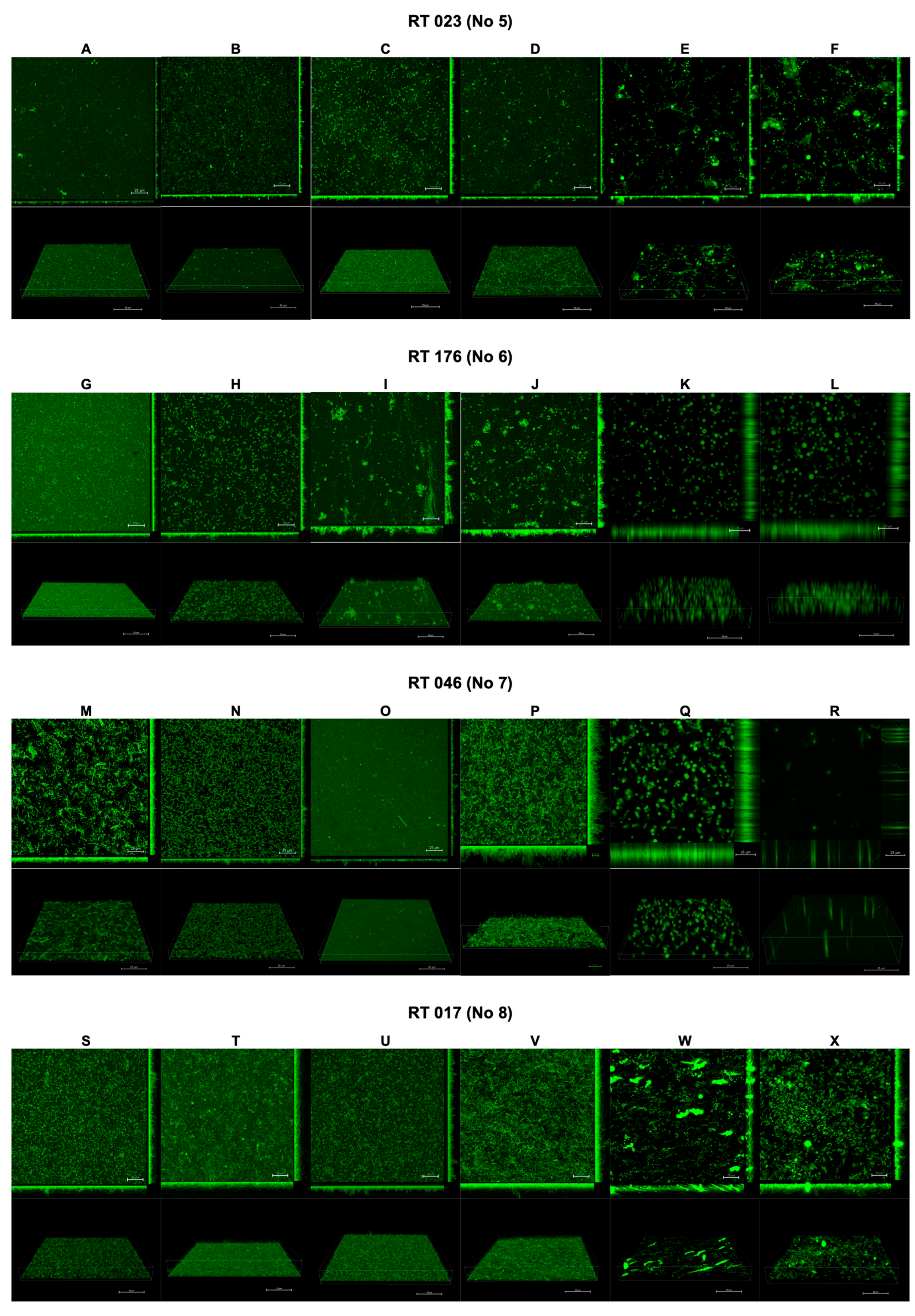 Pharmaceutics 16 00478 g003
