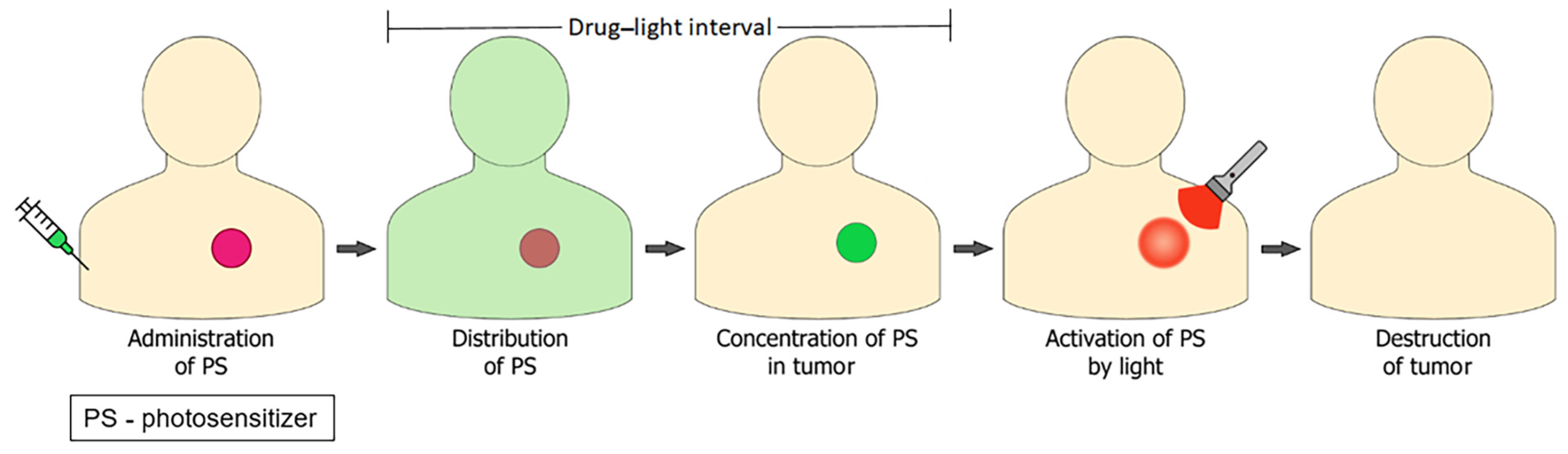 Pharmaceutics 16 00479 g001