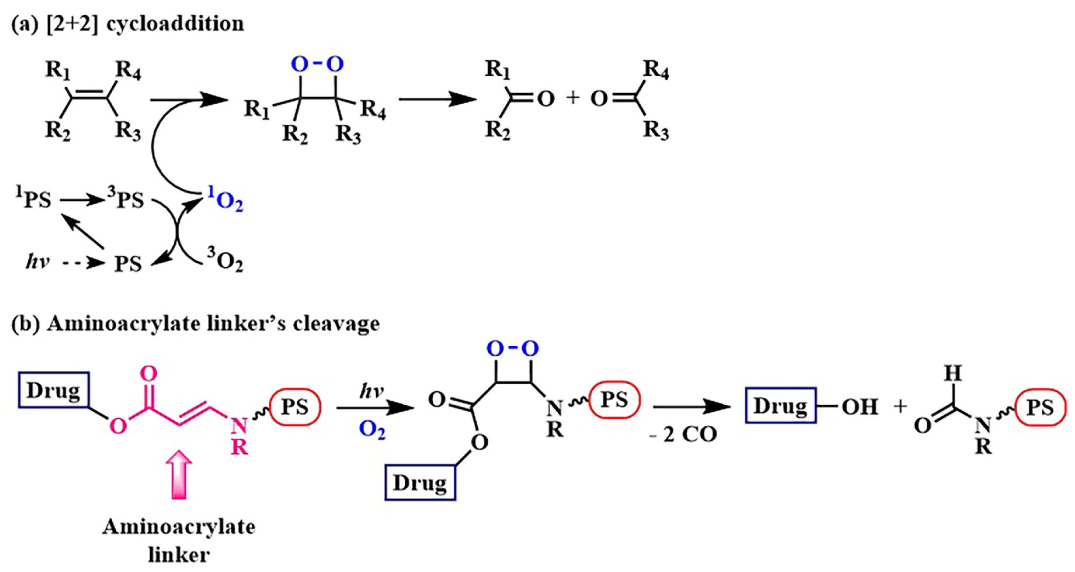 Pharmaceutics 16 00479 g006