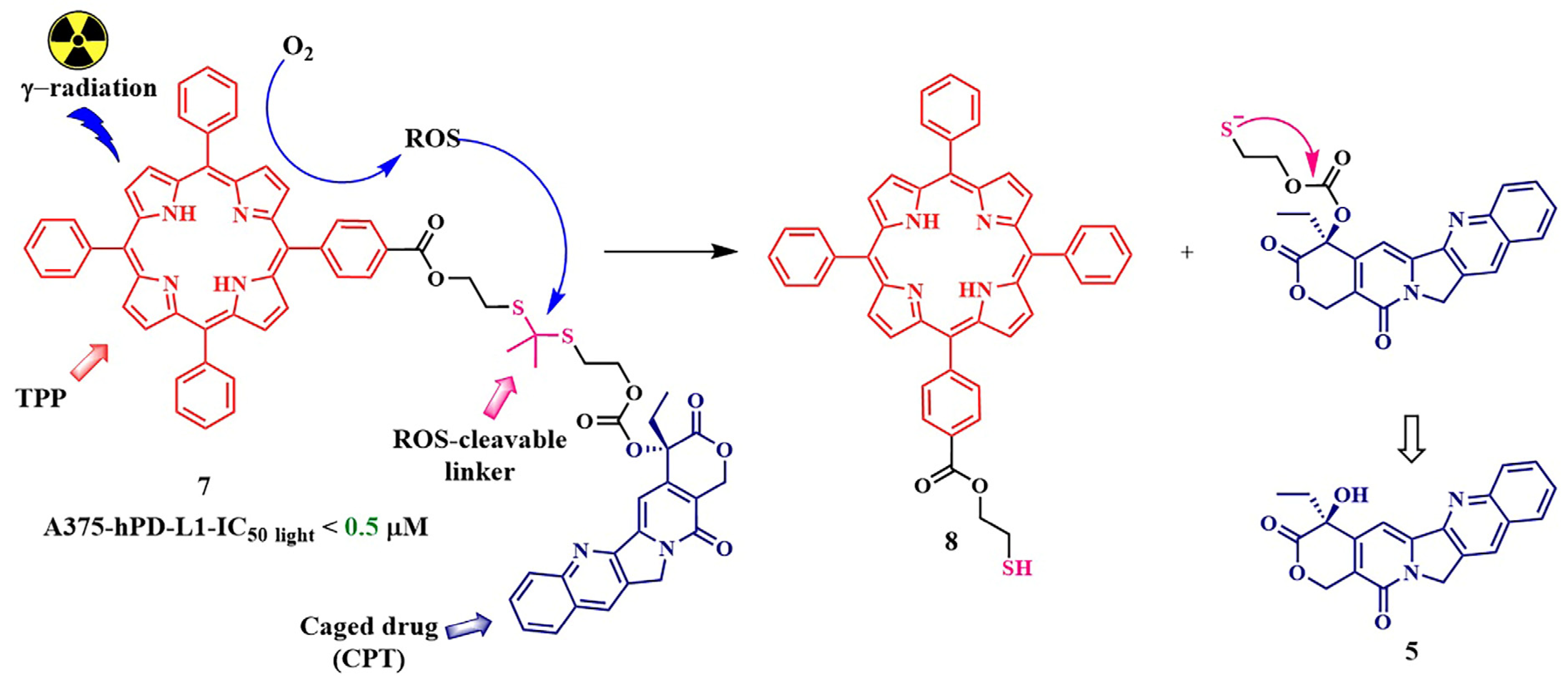 Pharmaceutics 16 00479 g010