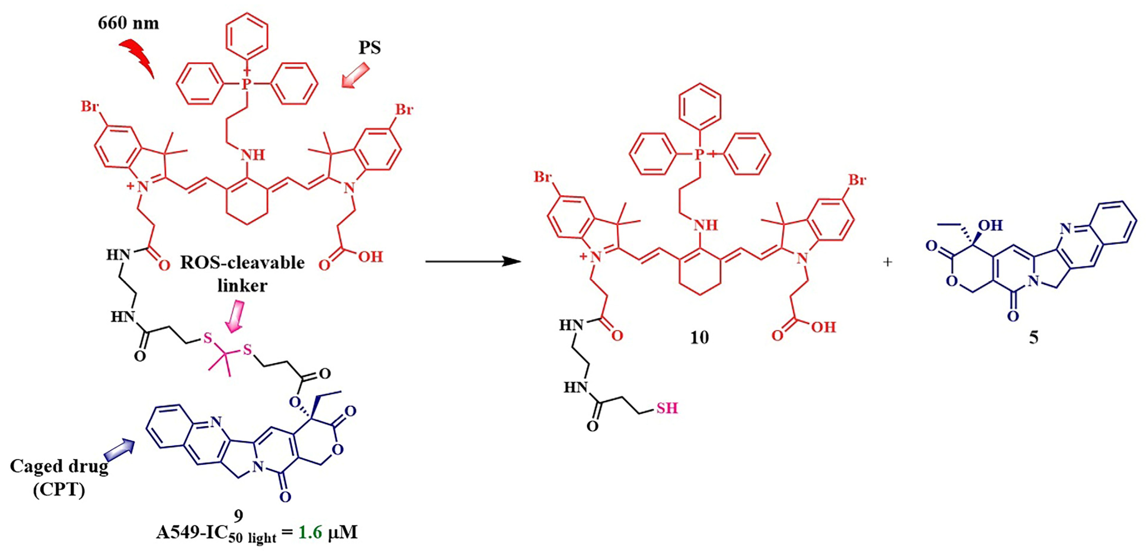 Pharmaceutics 16 00479 g011