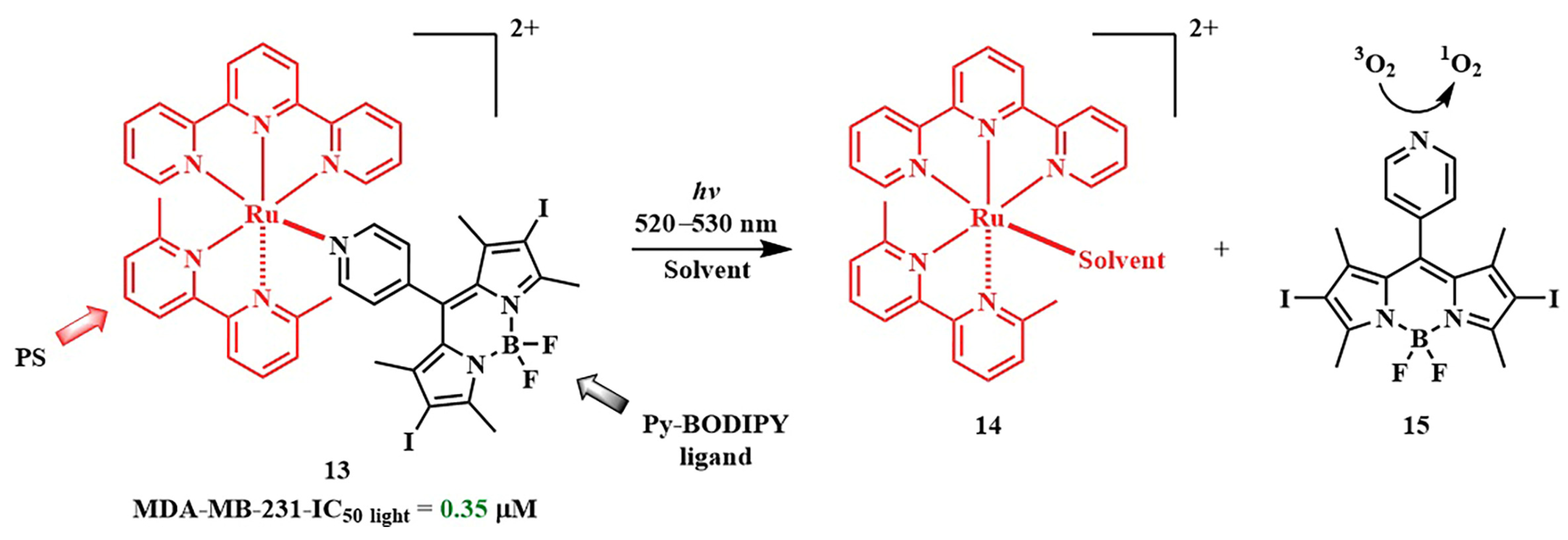 Pharmaceutics 16 00479 g014