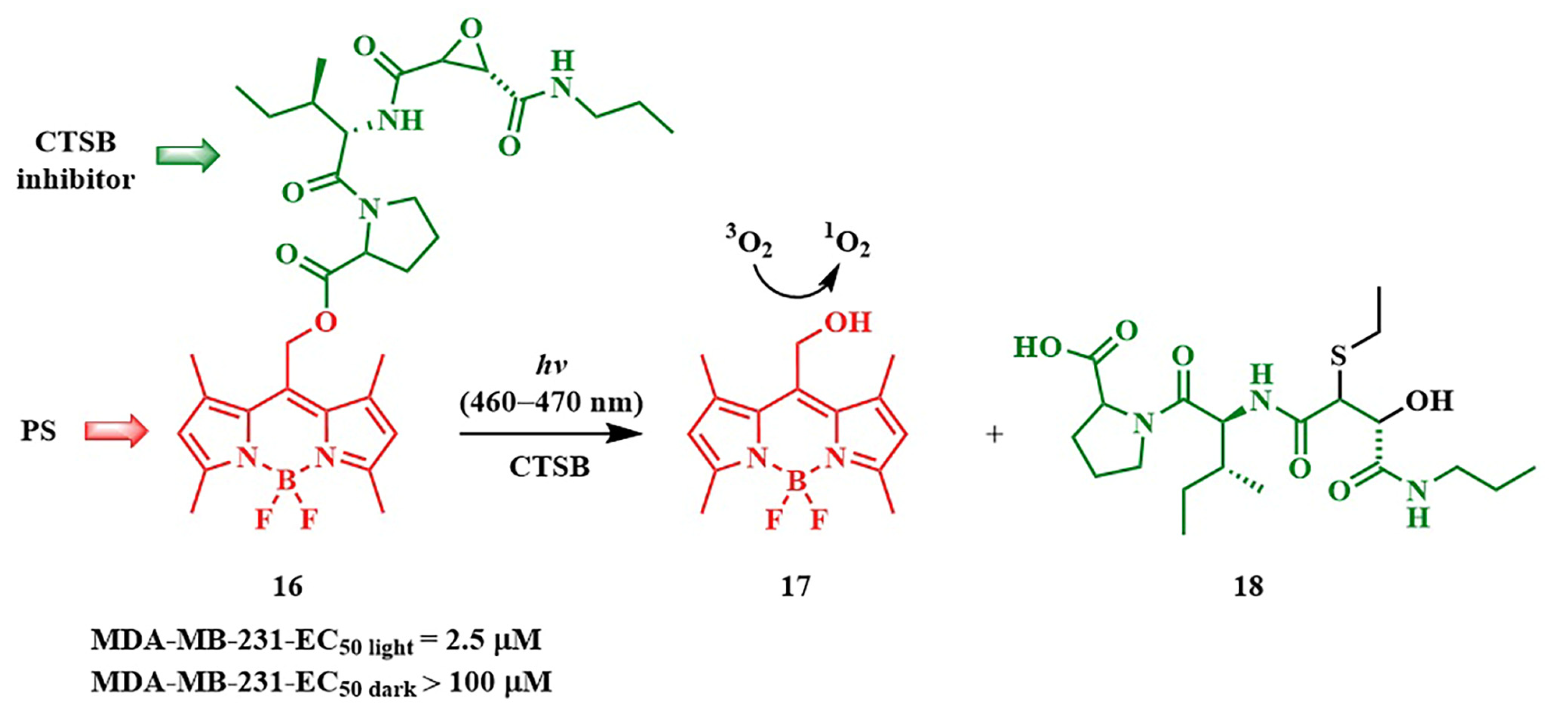 Pharmaceutics 16 00479 g015