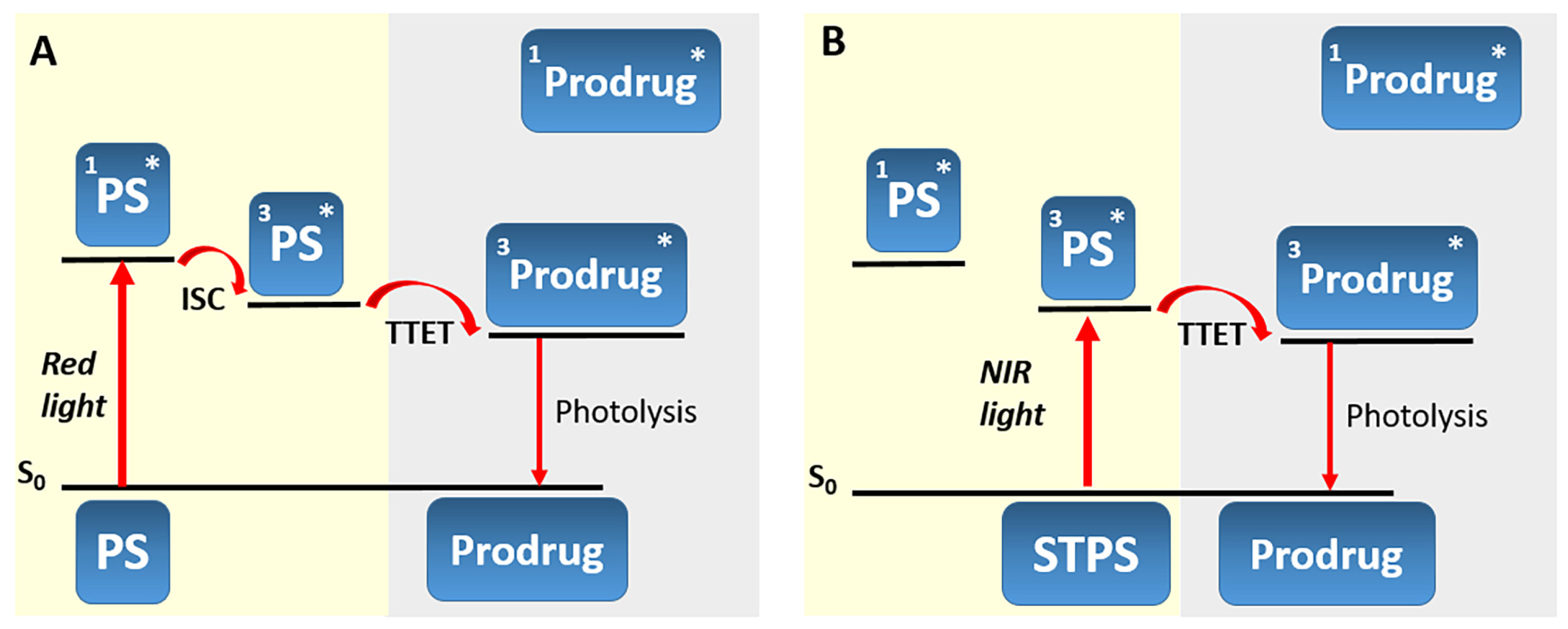Pharmaceutics 16 00479 g017