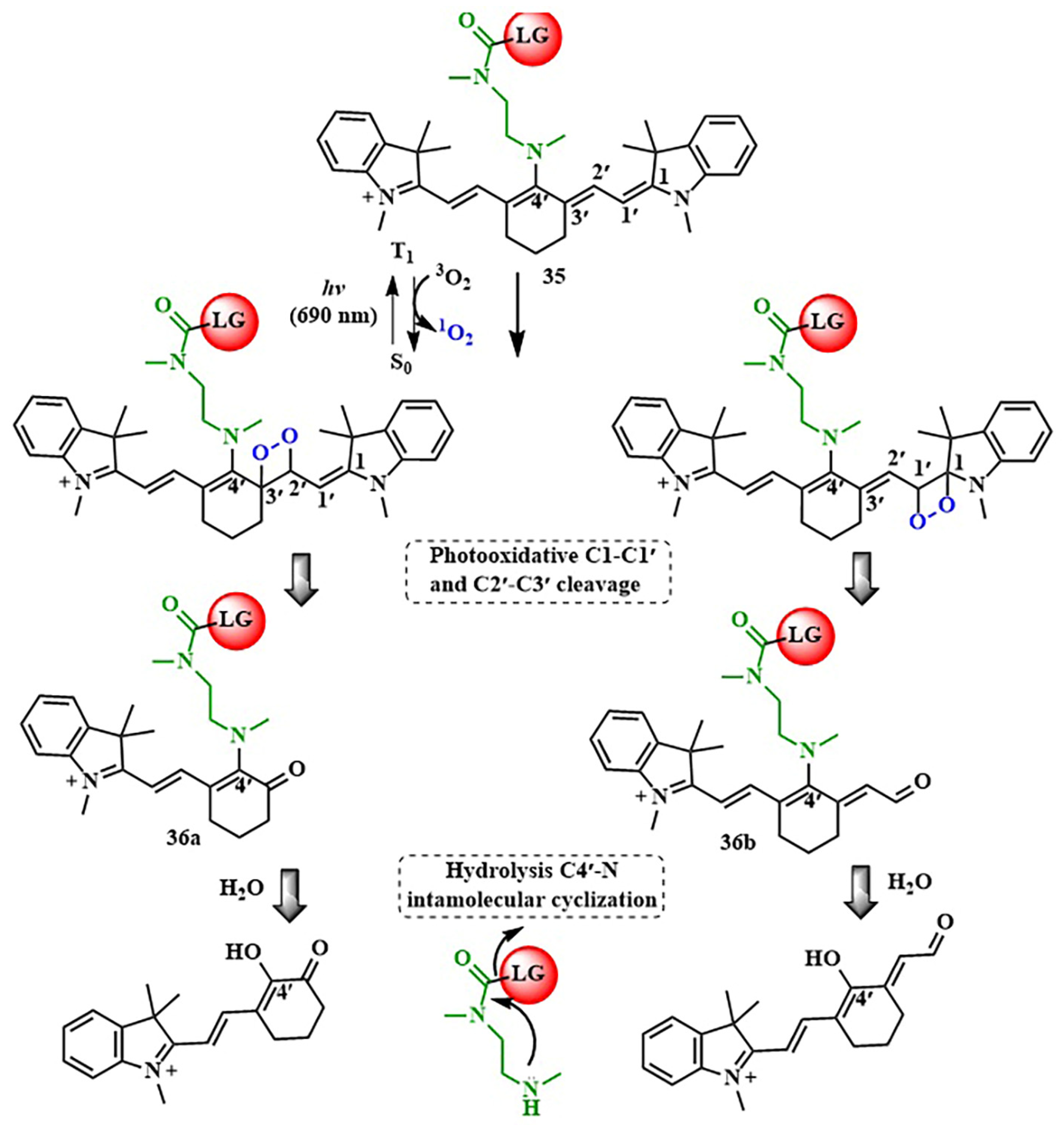 Pharmaceutics 16 00479 g019