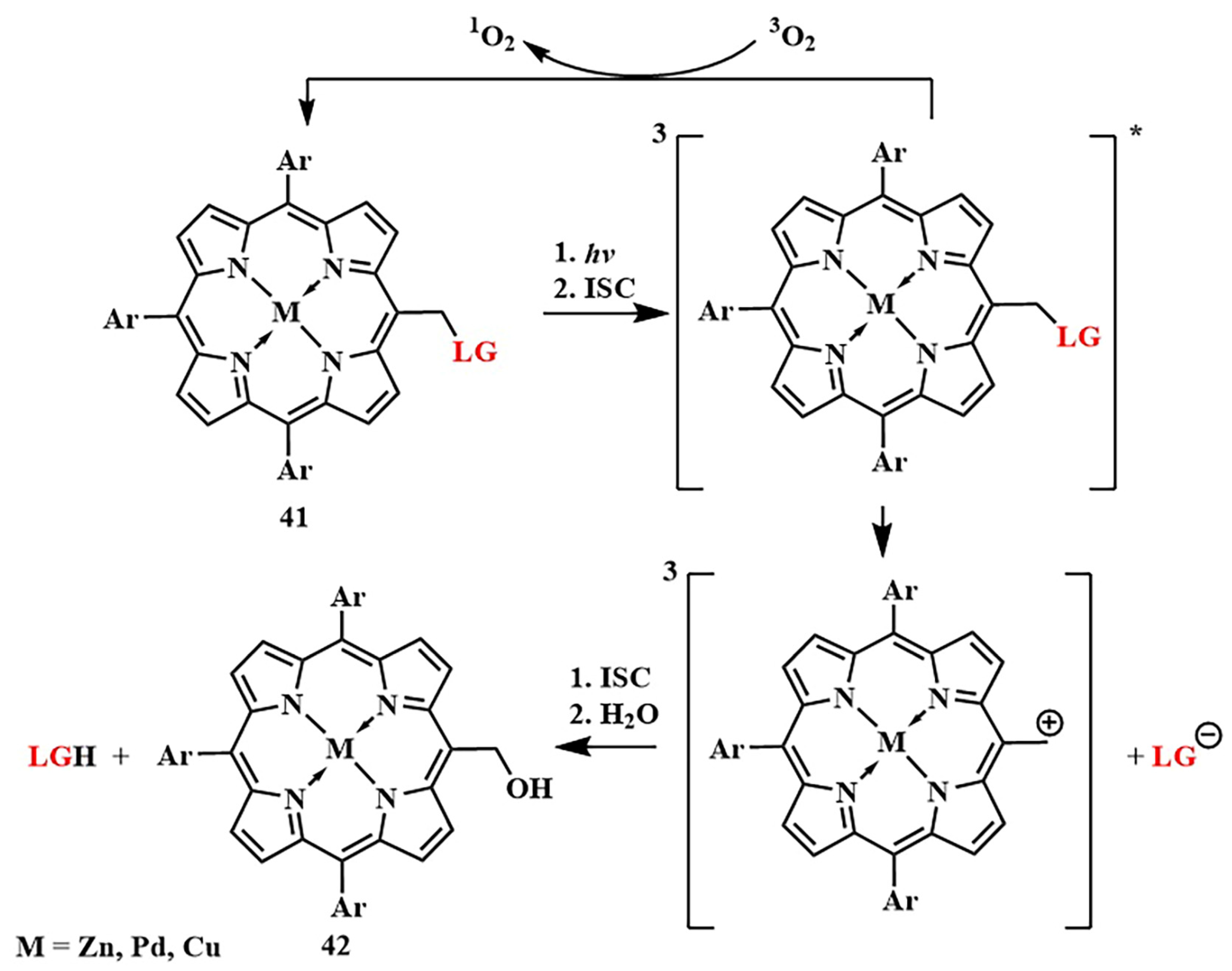 Pharmaceutics 16 00479 g021