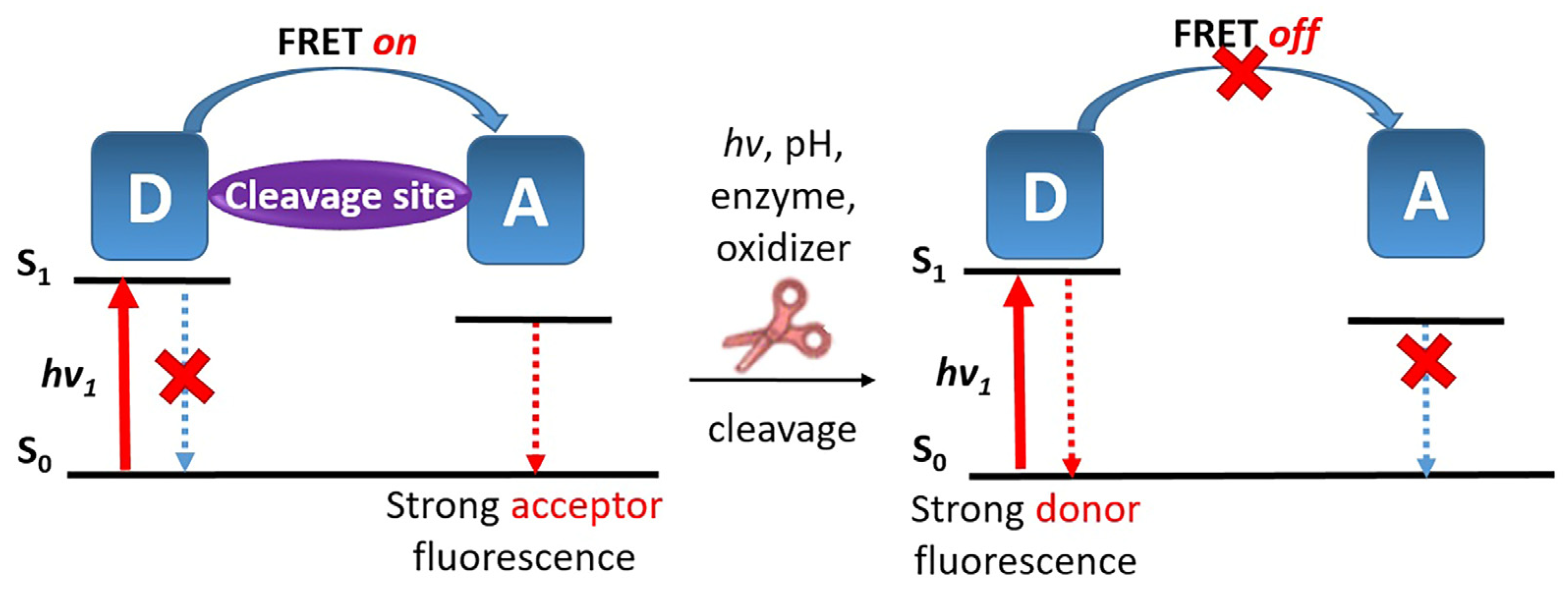 Pharmaceutics 16 00479 g022