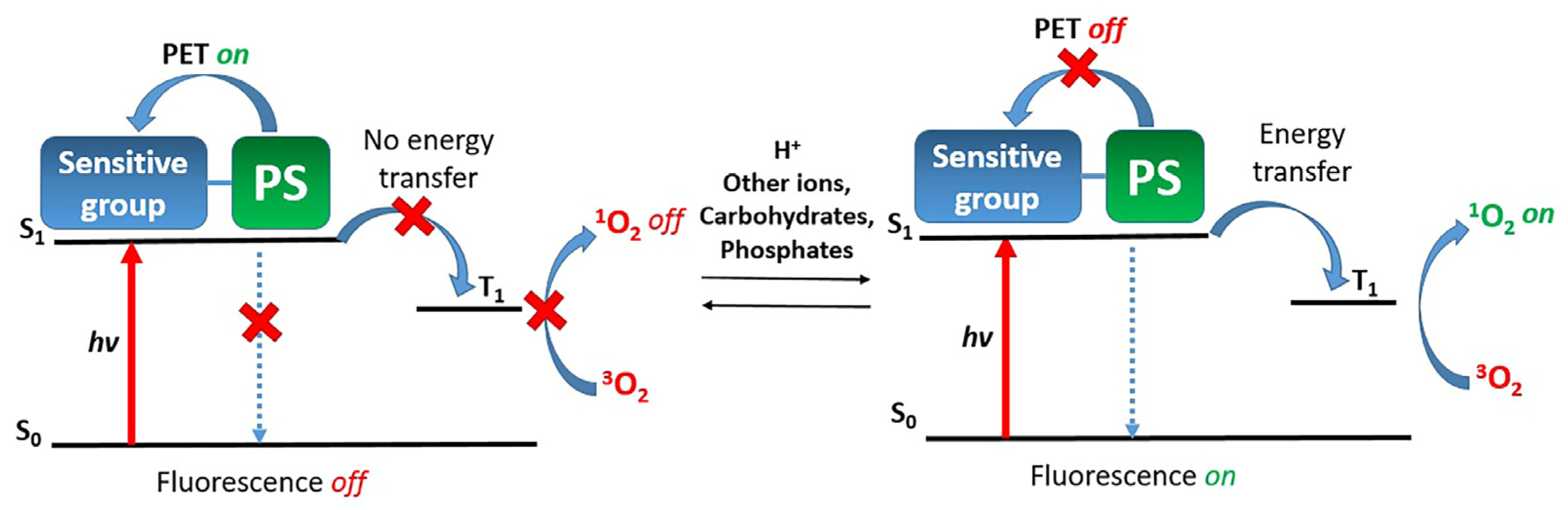 Pharmaceutics 16 00479 g026