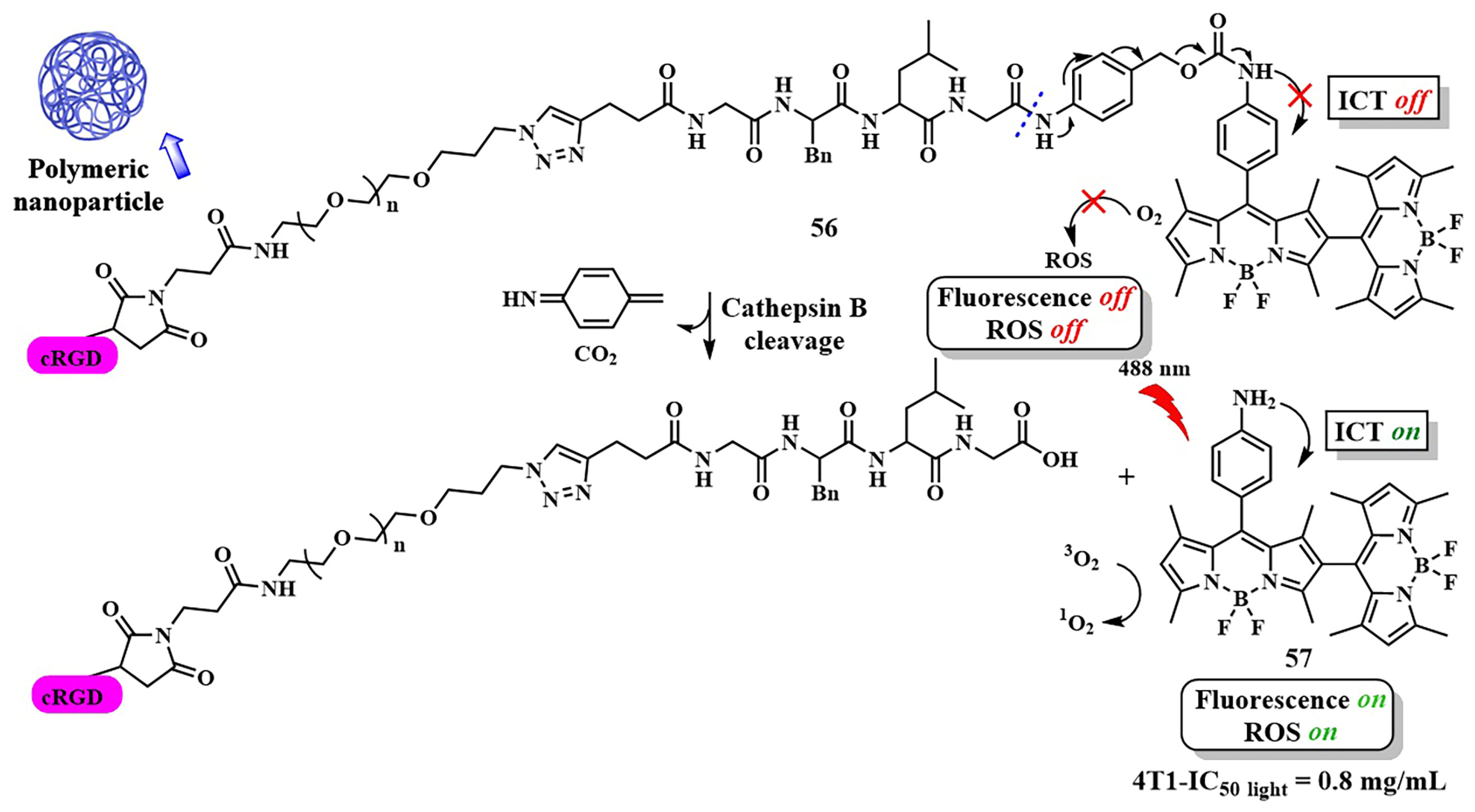 Pharmaceutics 16 00479 g031