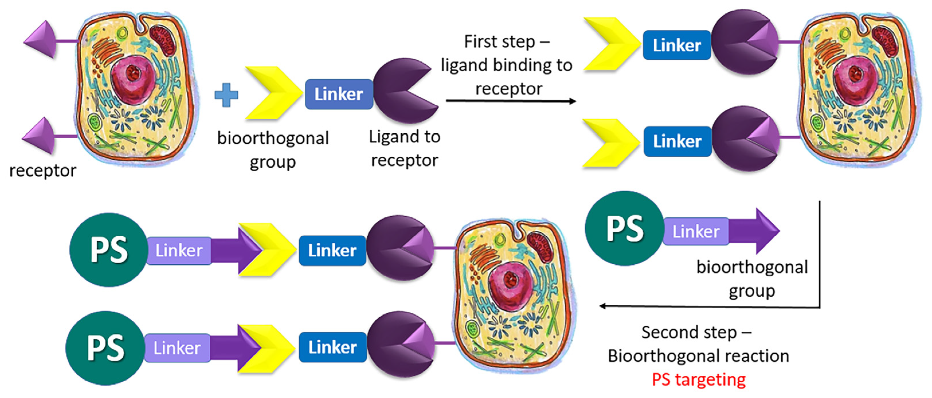 Pharmaceutics 16 00479 g033
