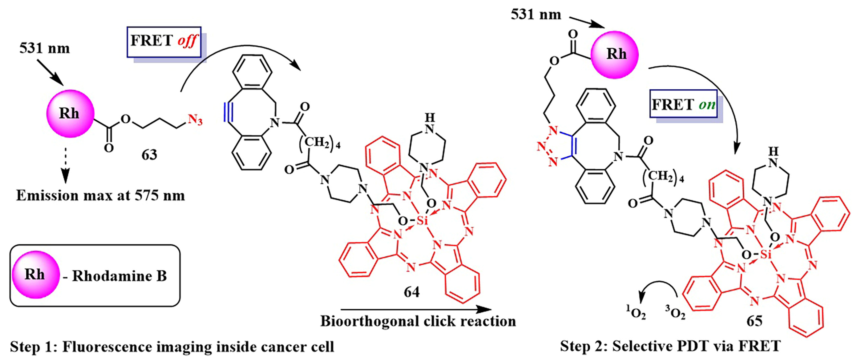 Pharmaceutics 16 00479 g035