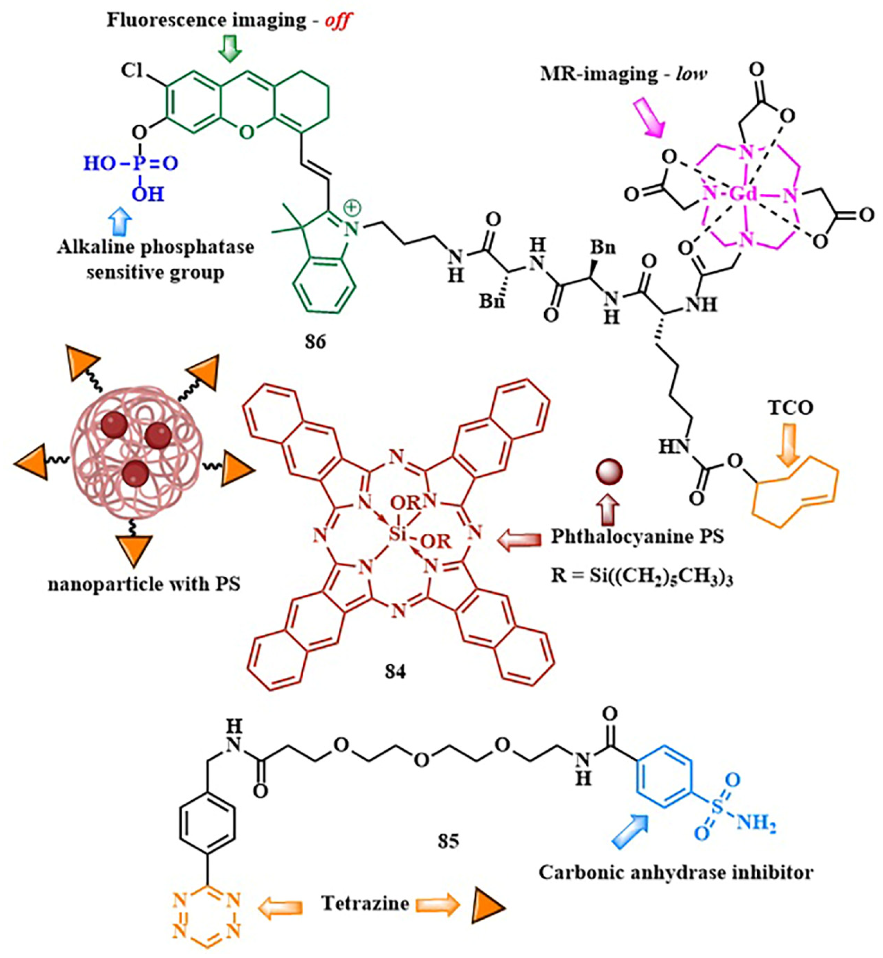 Pharmaceutics 16 00479 g041