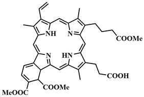 Pharmaceutics 16 00479 i002