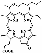 Pharmaceutics 16 00479 i004