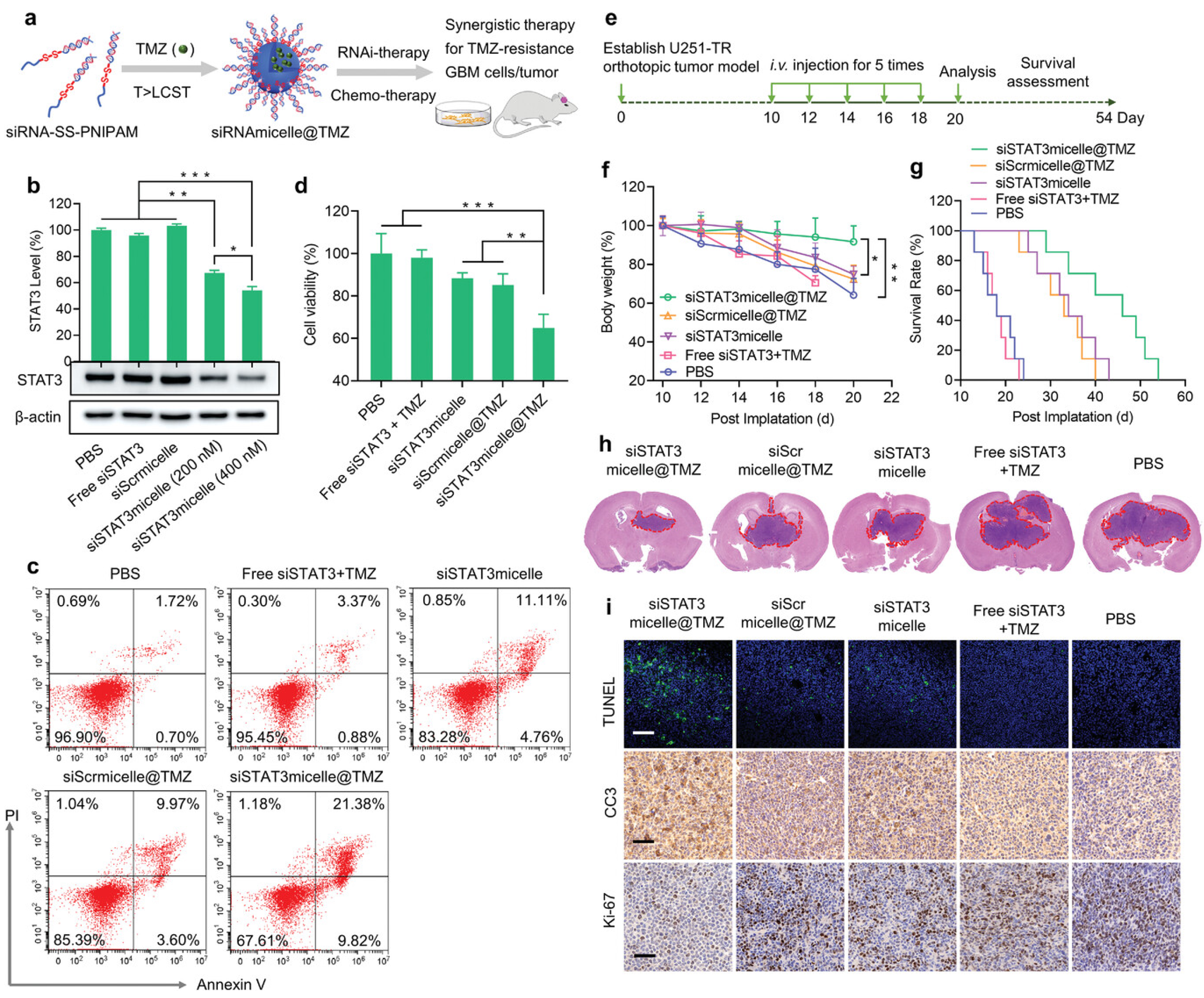 Pharmaceutics 16 00482 g001