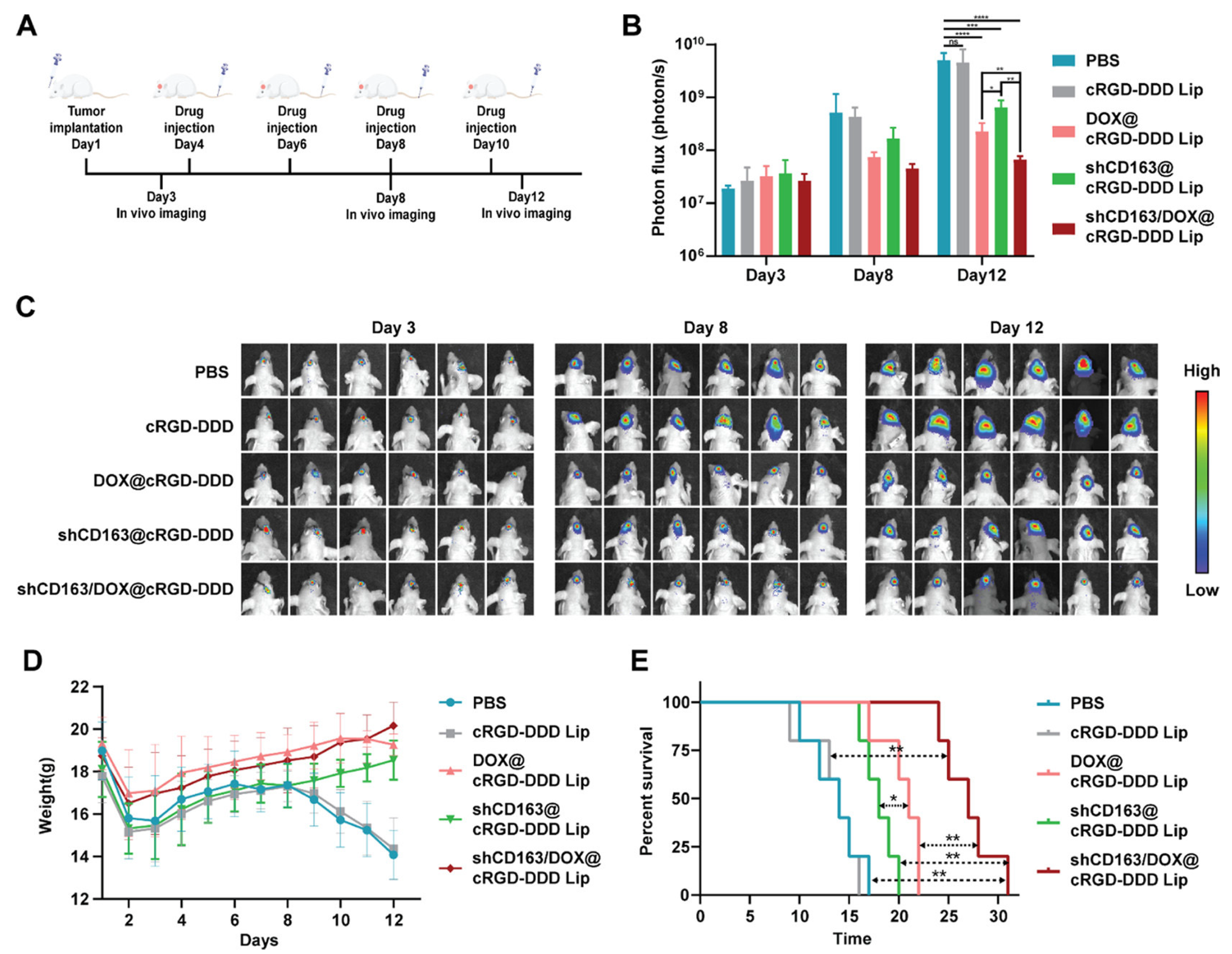 Pharmaceutics 16 00482 g005