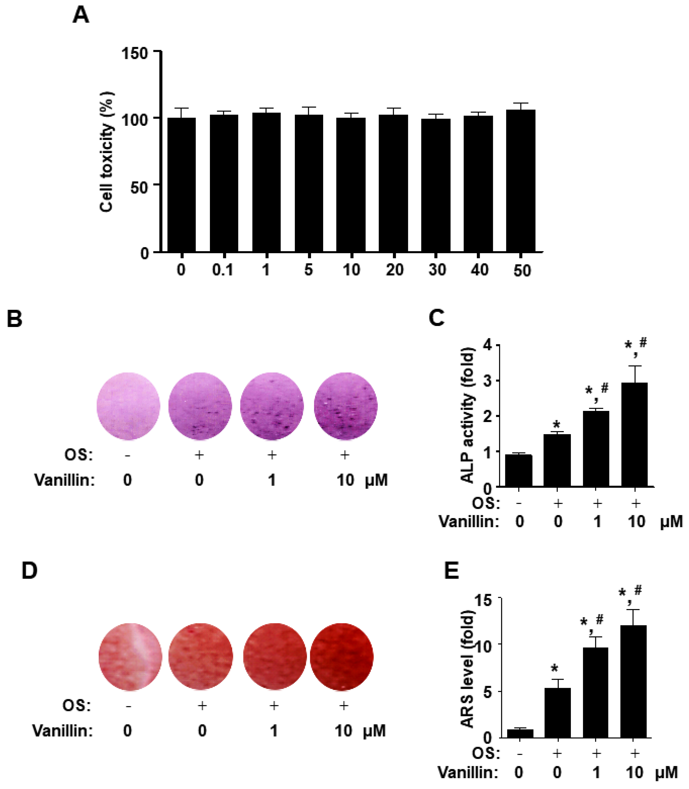 Pharmaceutics 16 00485 g002