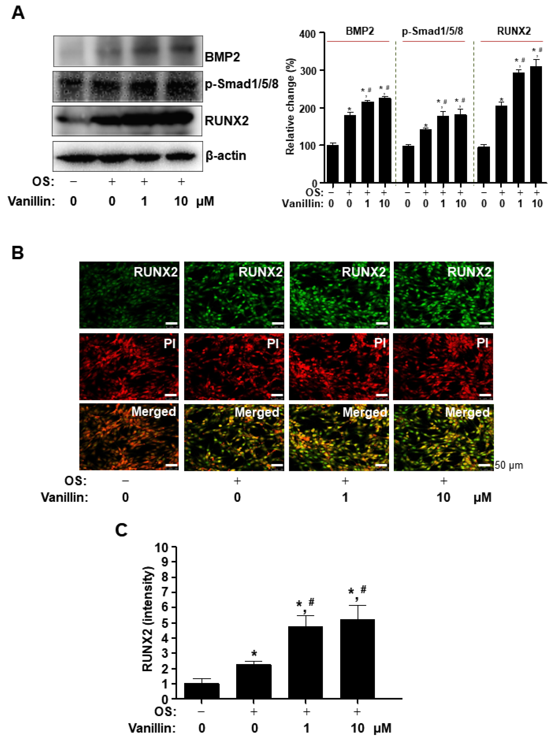 Pharmaceutics 16 00485 g003