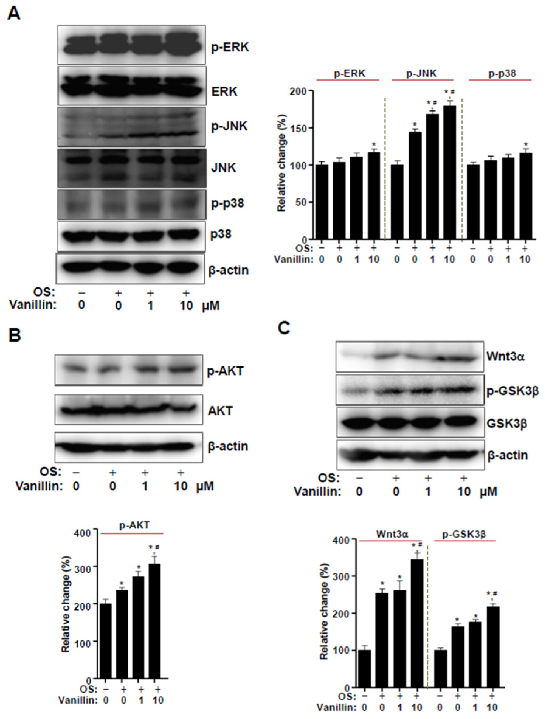 Pharmaceutics 16 00485 g004
