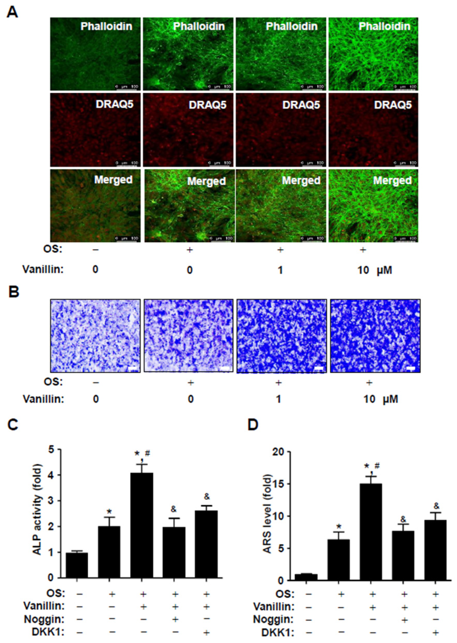 Pharmaceutics 16 00485 g005