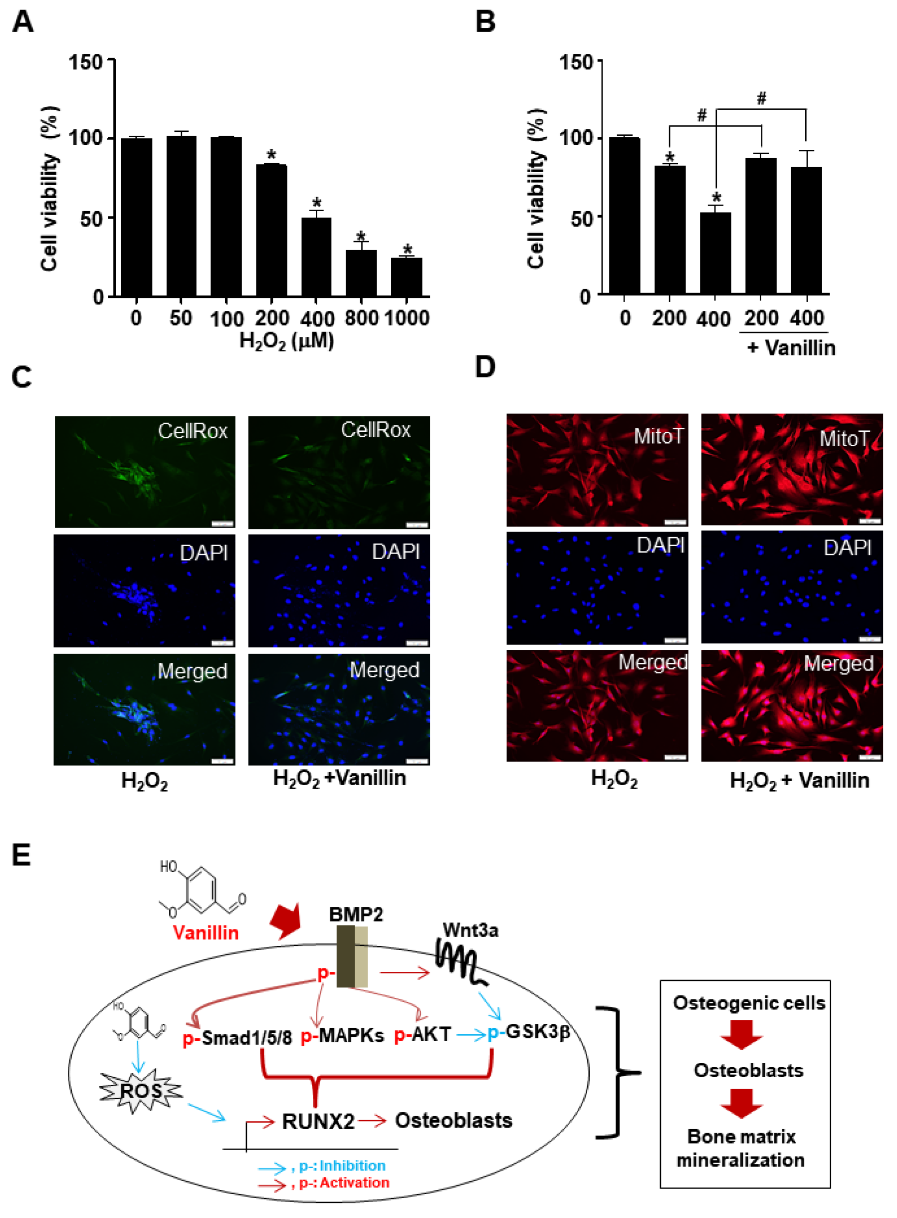 Pharmaceutics 16 00485 g006