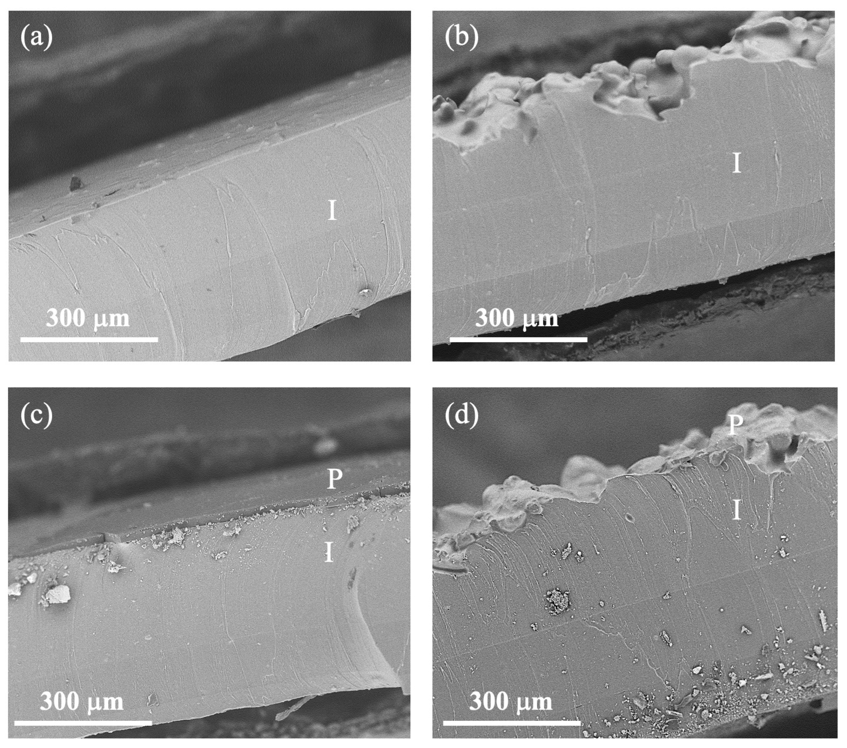Pharmaceutics 16 00486 g002