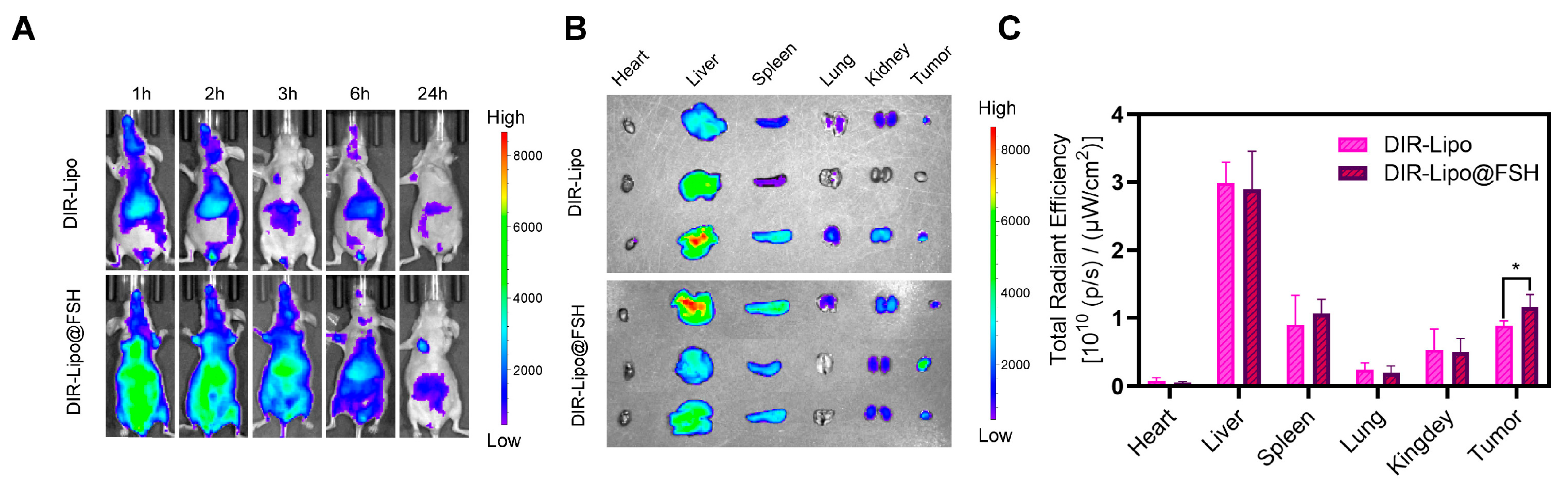 Pharmaceutics 16 00490 g006