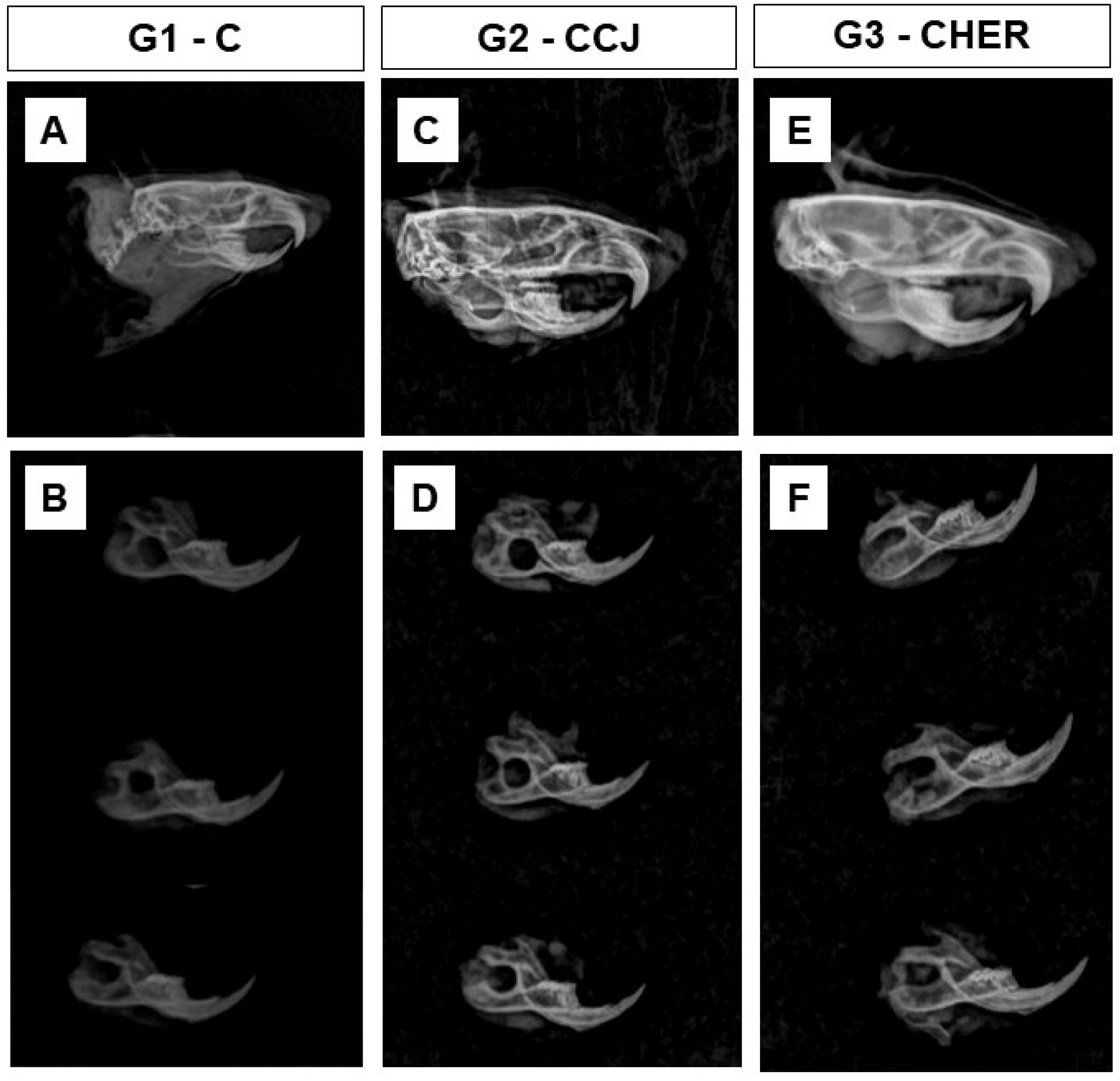 Pharmaceutics 16 00491 g008