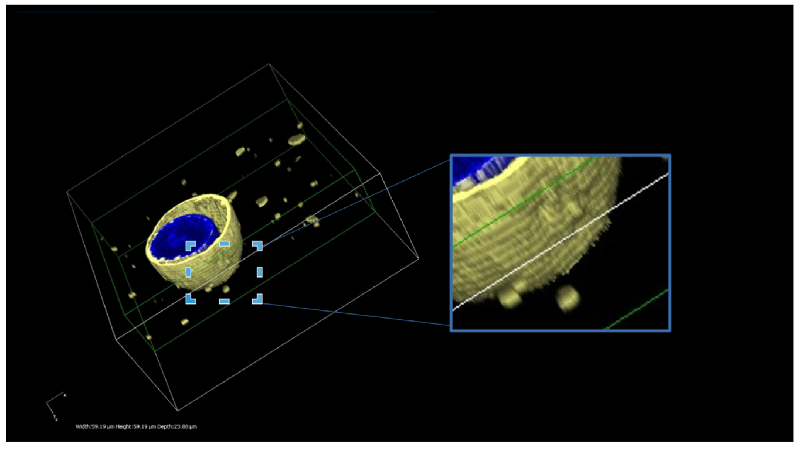 Pharmaceutics 16 00493 g002