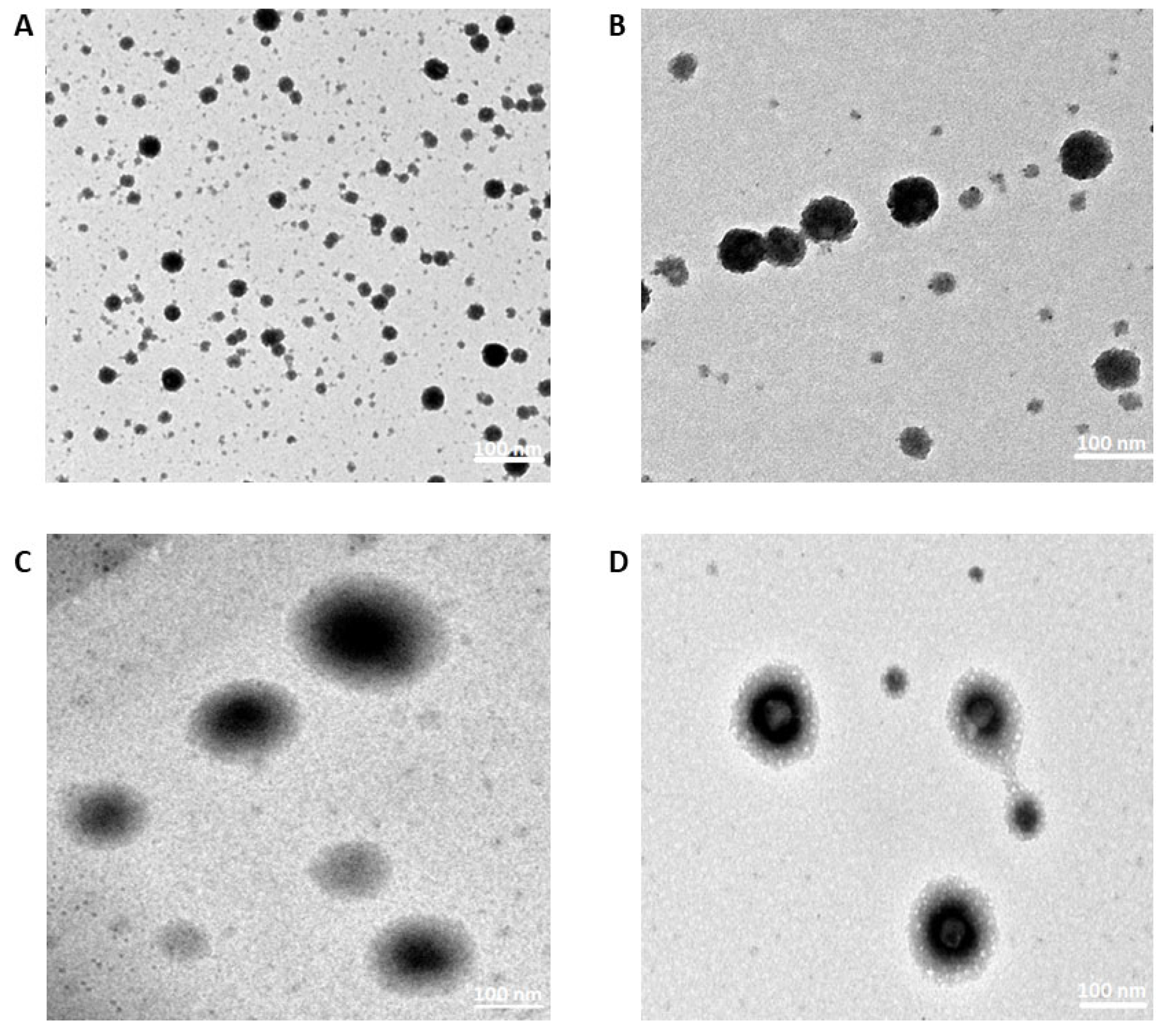 Pharmaceutics 16 00494 g002 Pharmaceutics 16 00494 g002