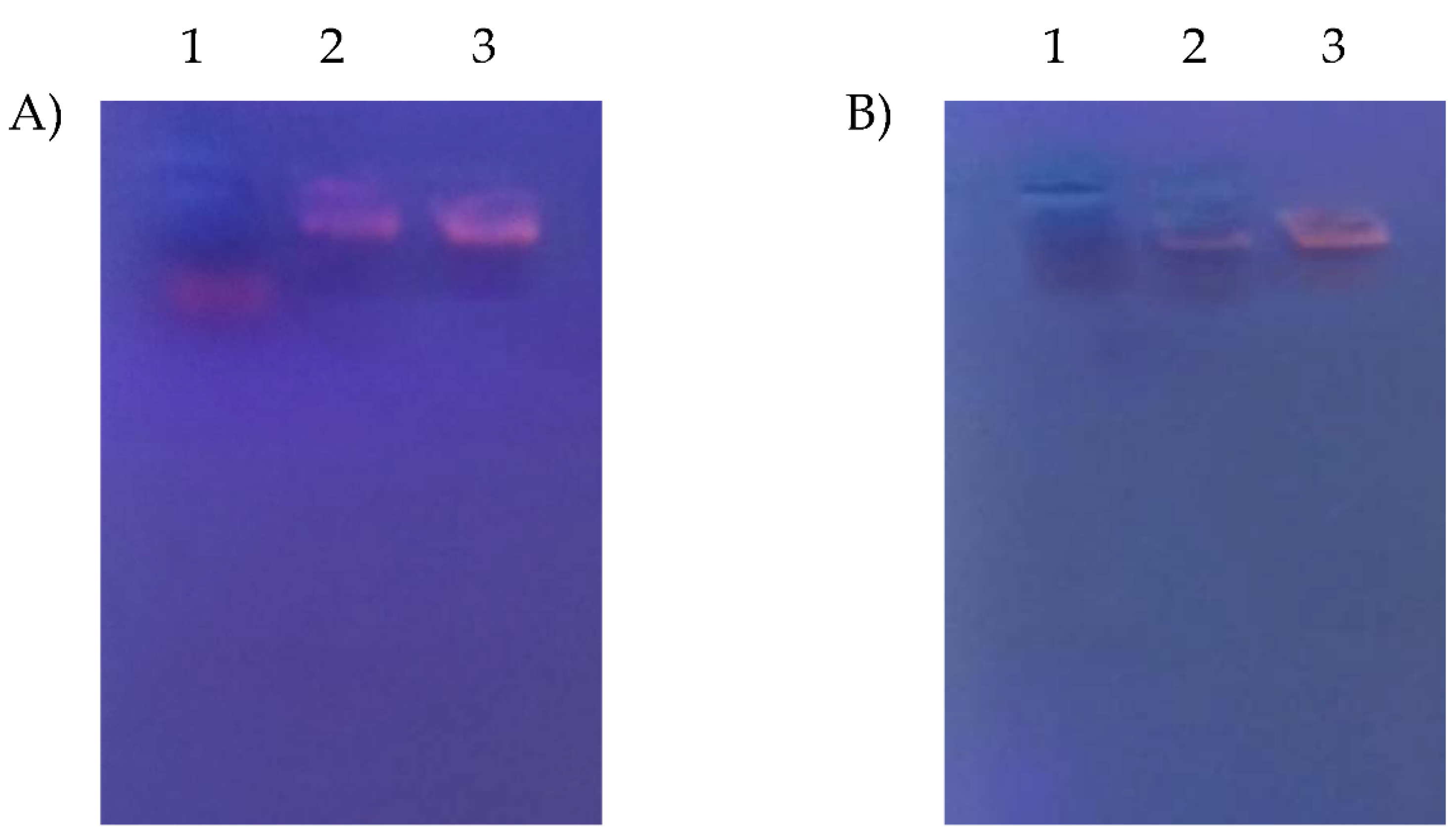 Pharmaceutics 16 00494 g005 Pharmaceutics 16 00494 g005