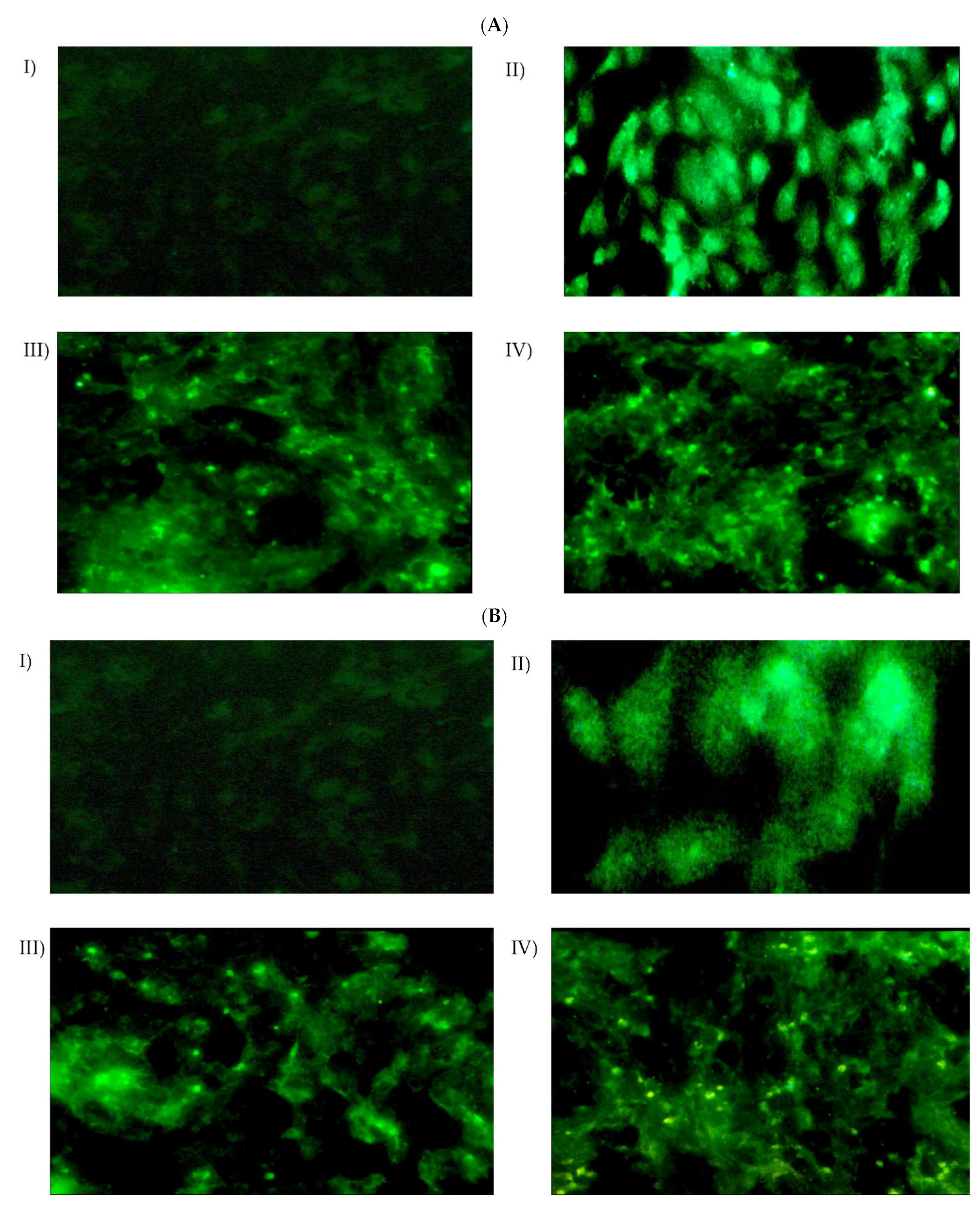 Pharmaceutics 16 00494 g006 Pharmaceutics 16 00494 g006