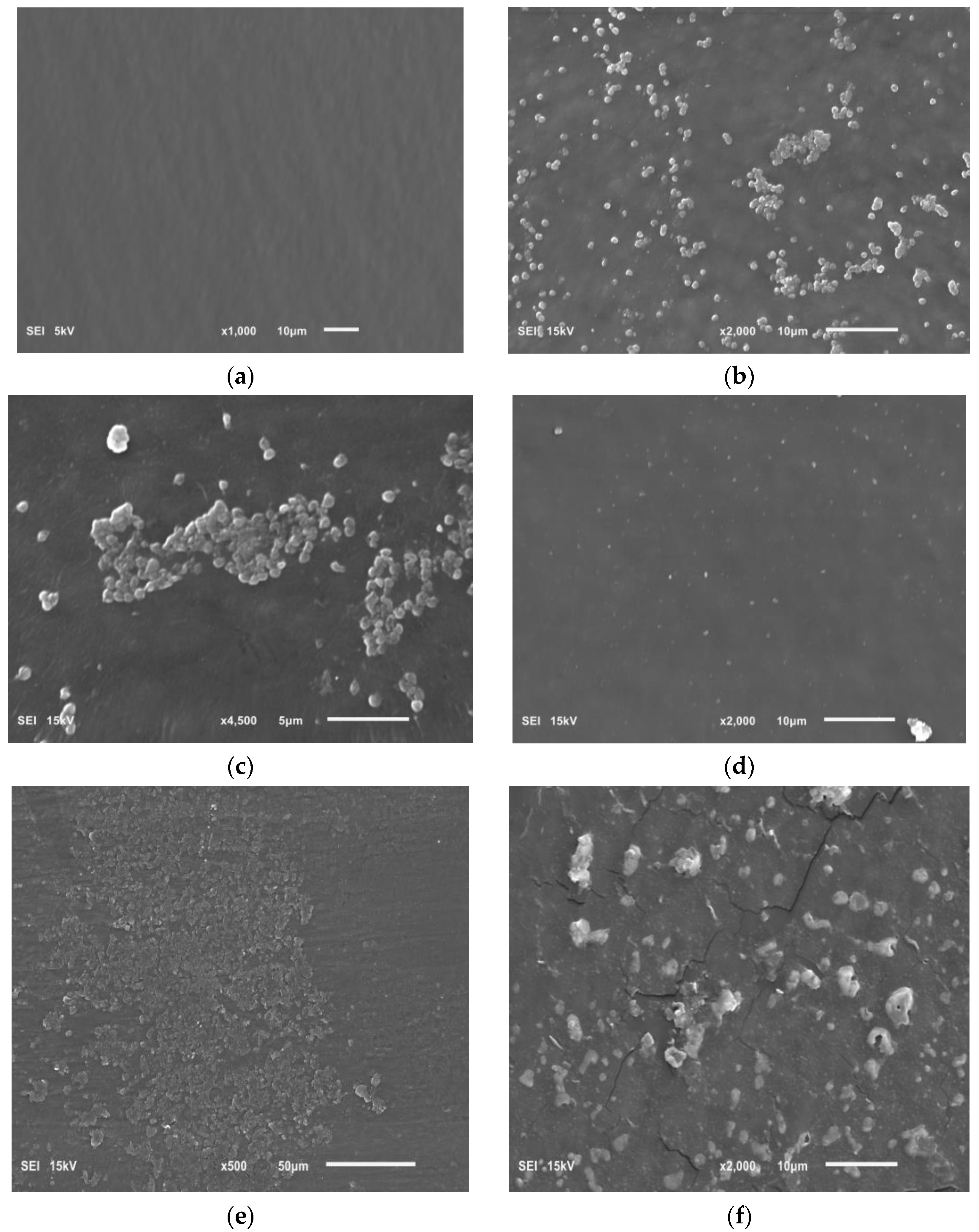 Pharmaceutics 16 00501 g008