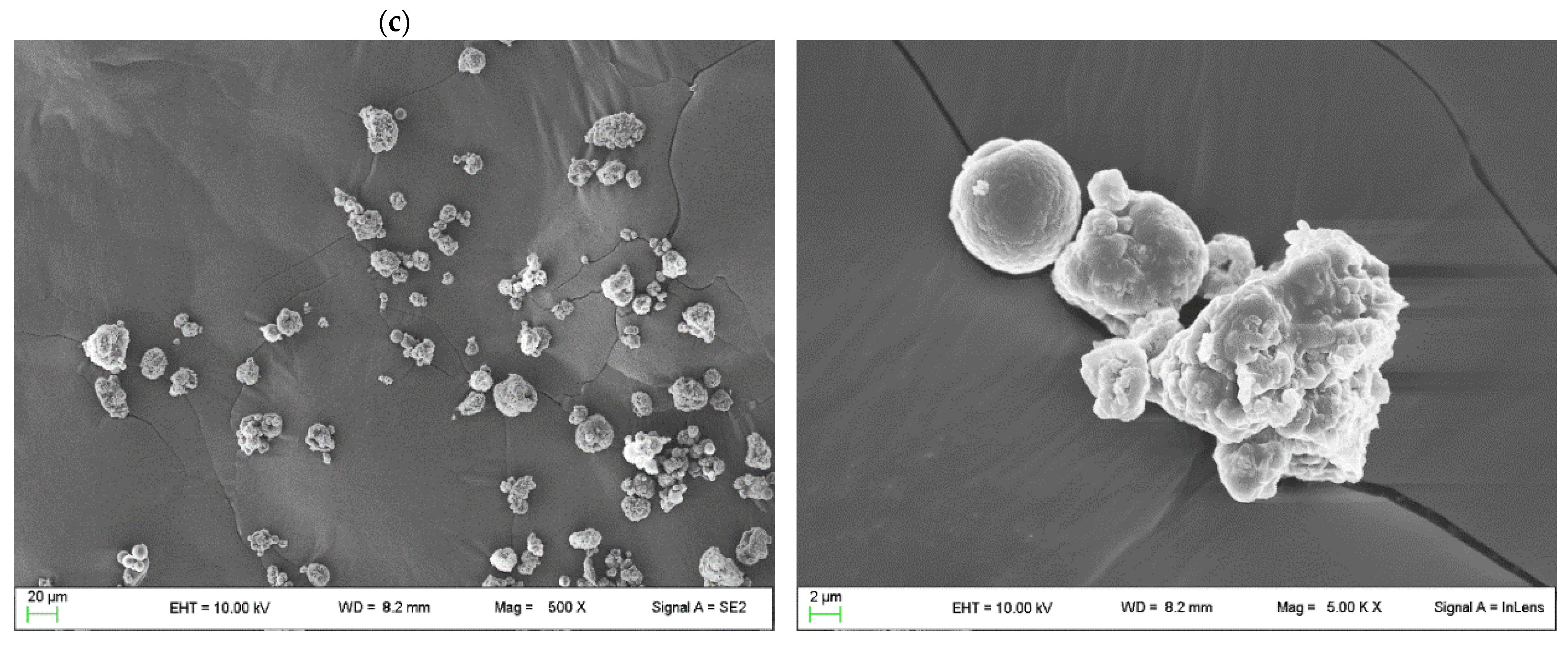 Pharmaceutics 16 00502 g003b