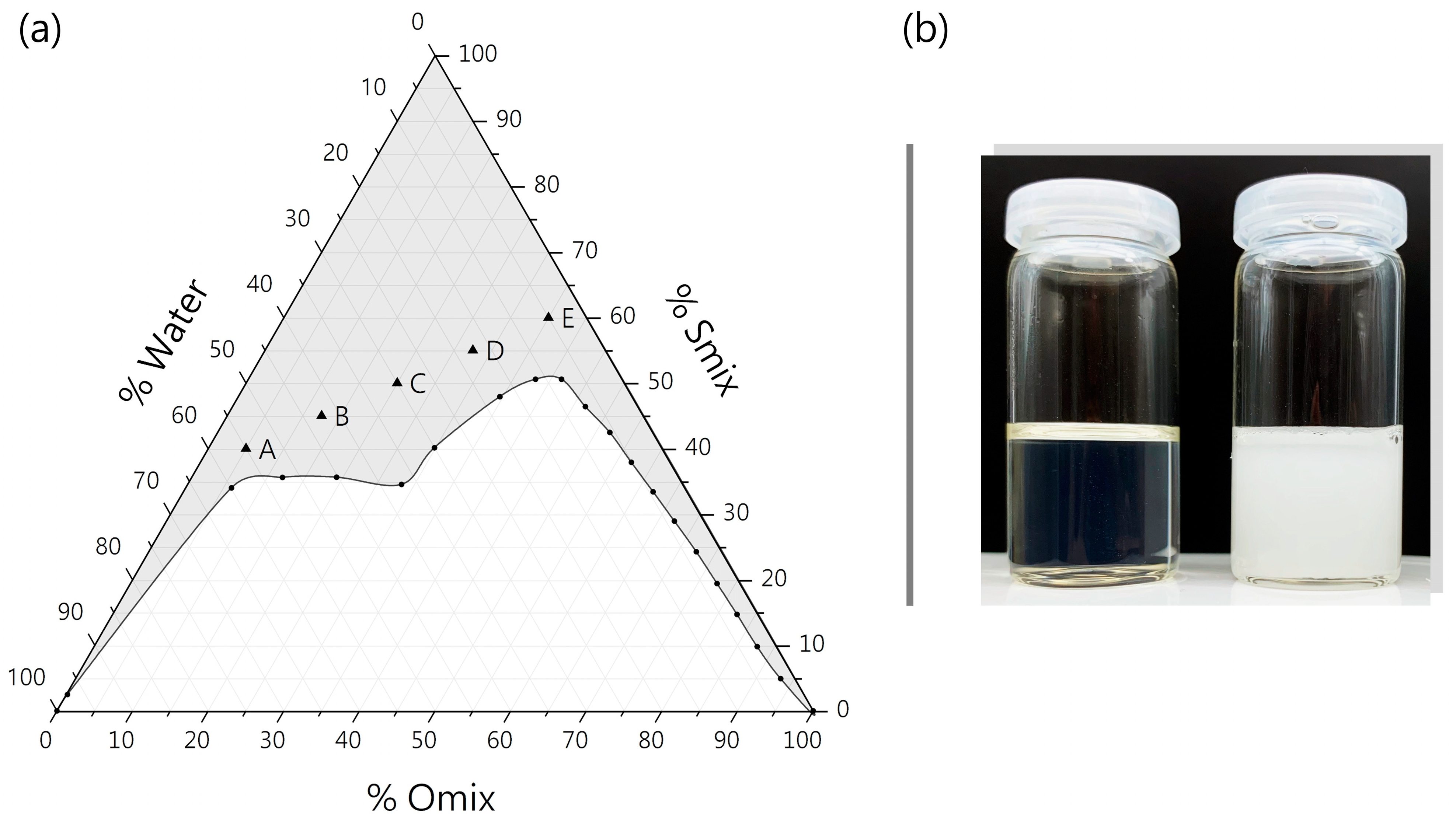 Pharmaceutics 16 00504 g001