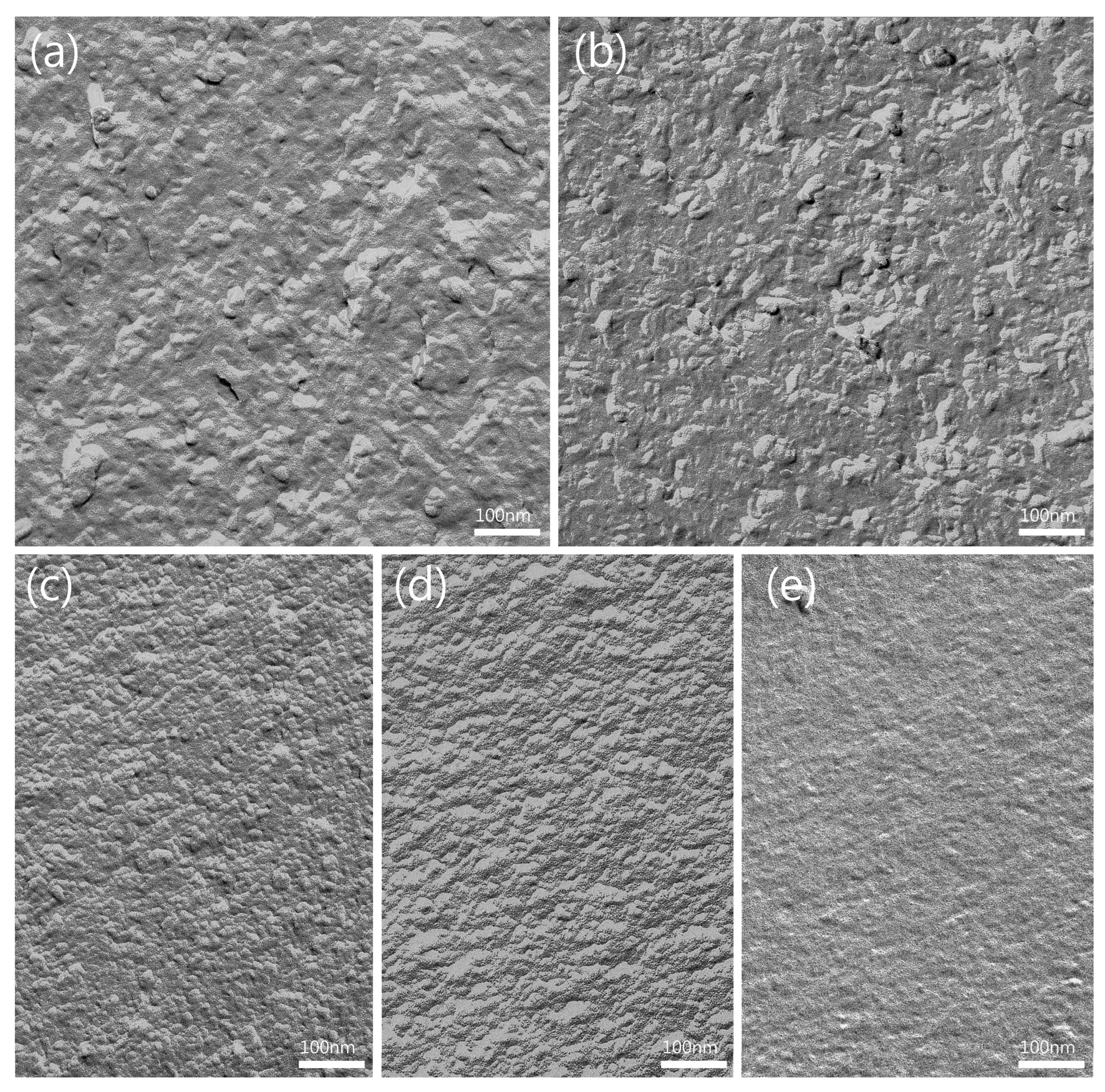 Pharmaceutics 16 00504 g004