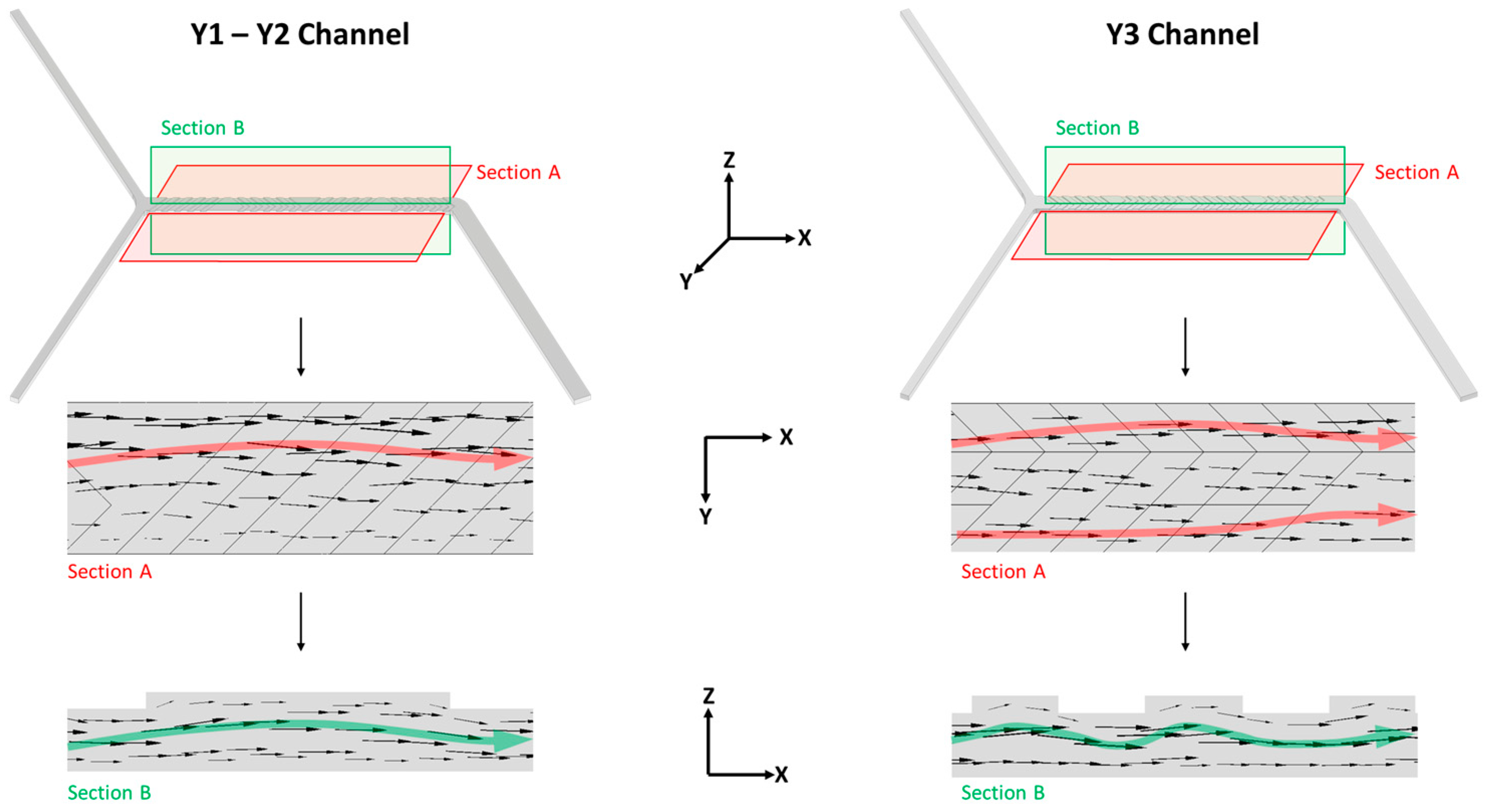 Pharmaceutics 16 00507 g007