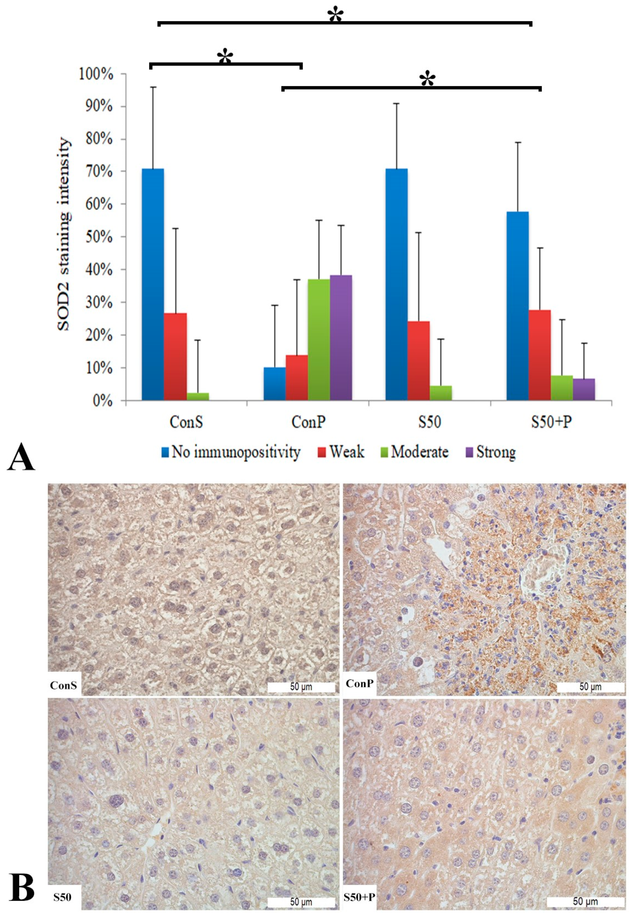 Pharmaceutics 16 00520 g004