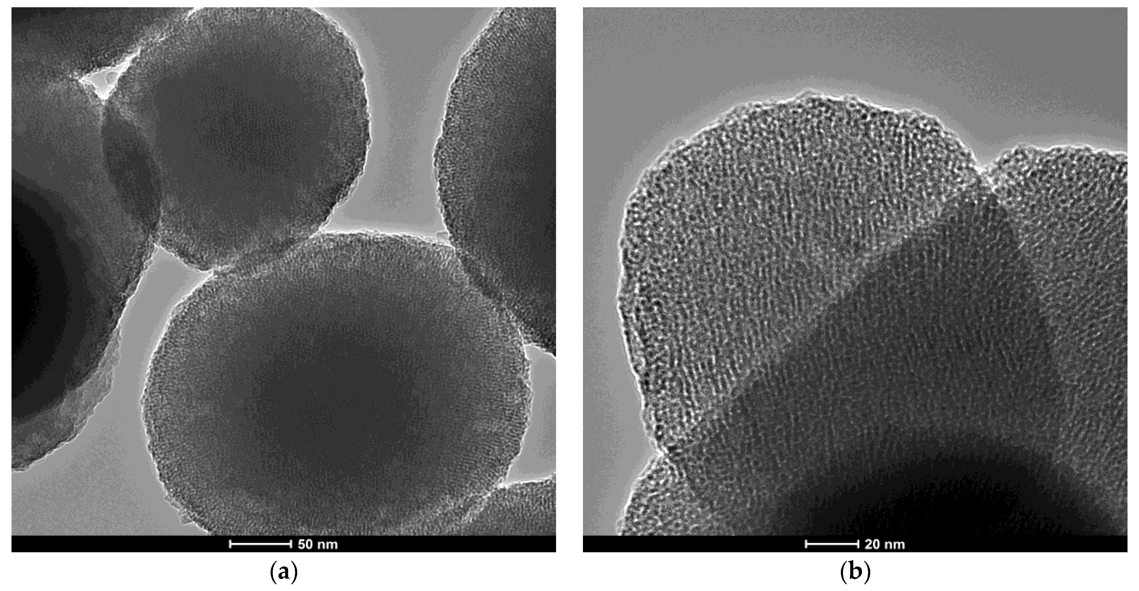 Pharmaceutics 16 00525 g002 Pharmaceutics 16 00525 g002