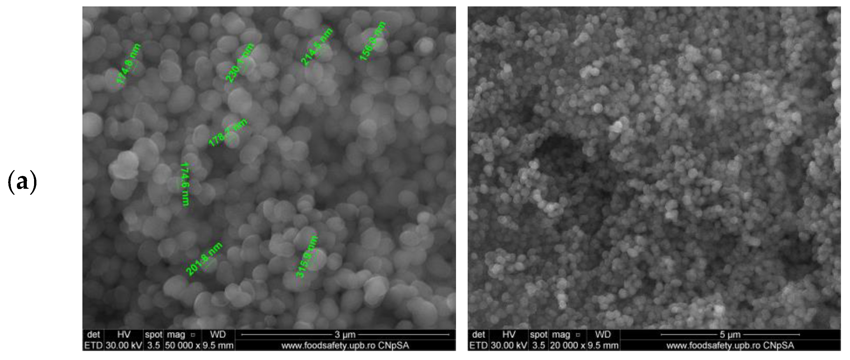 Pharmaceutics 16 00525 g003a Pharmaceutics 16 00525 g003a