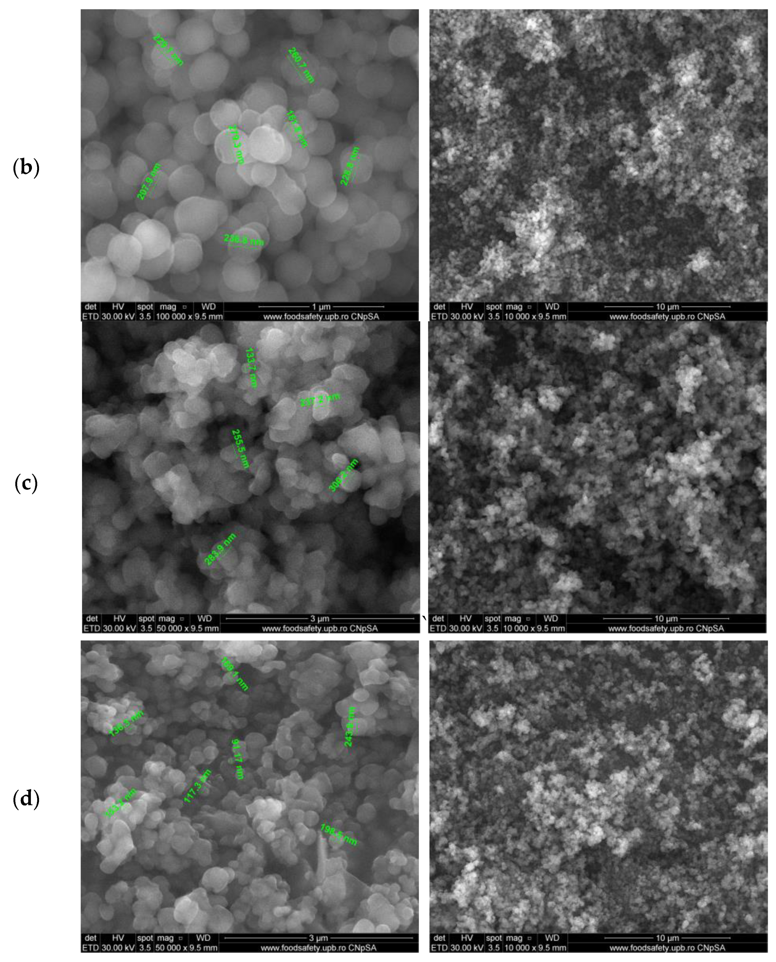 Pharmaceutics 16 00525 g003b Pharmaceutics 16 00525 g003b