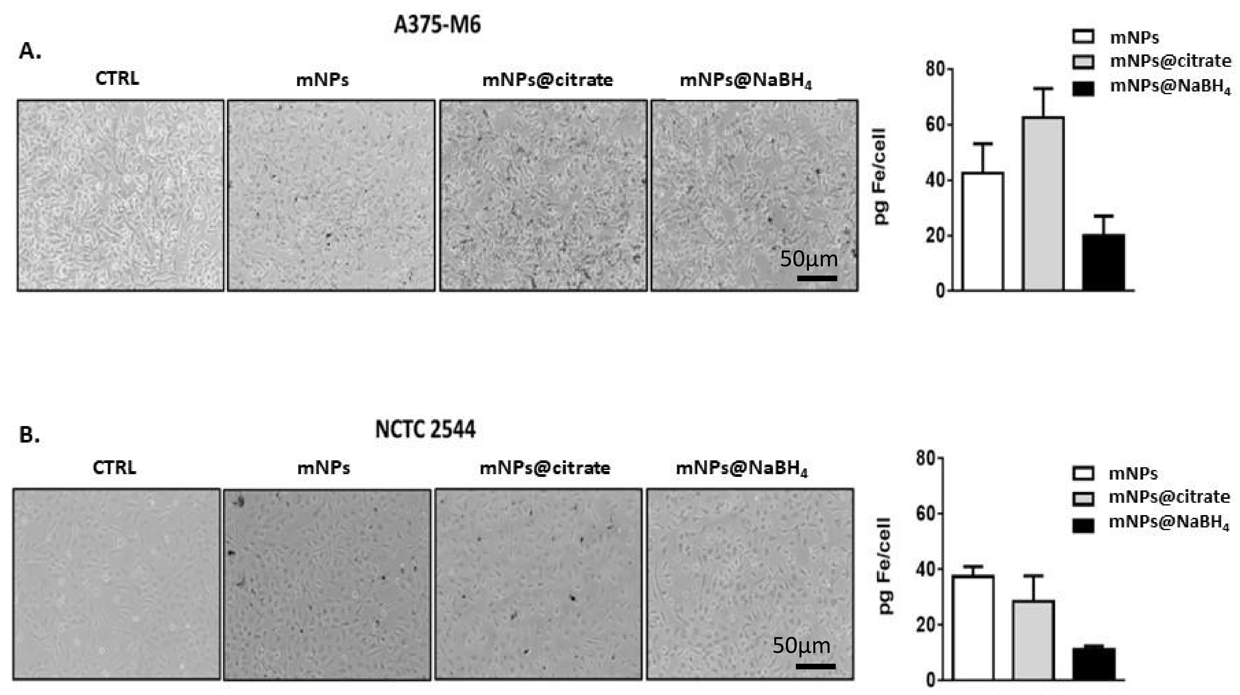 Pharmaceutics 16 00527 g005