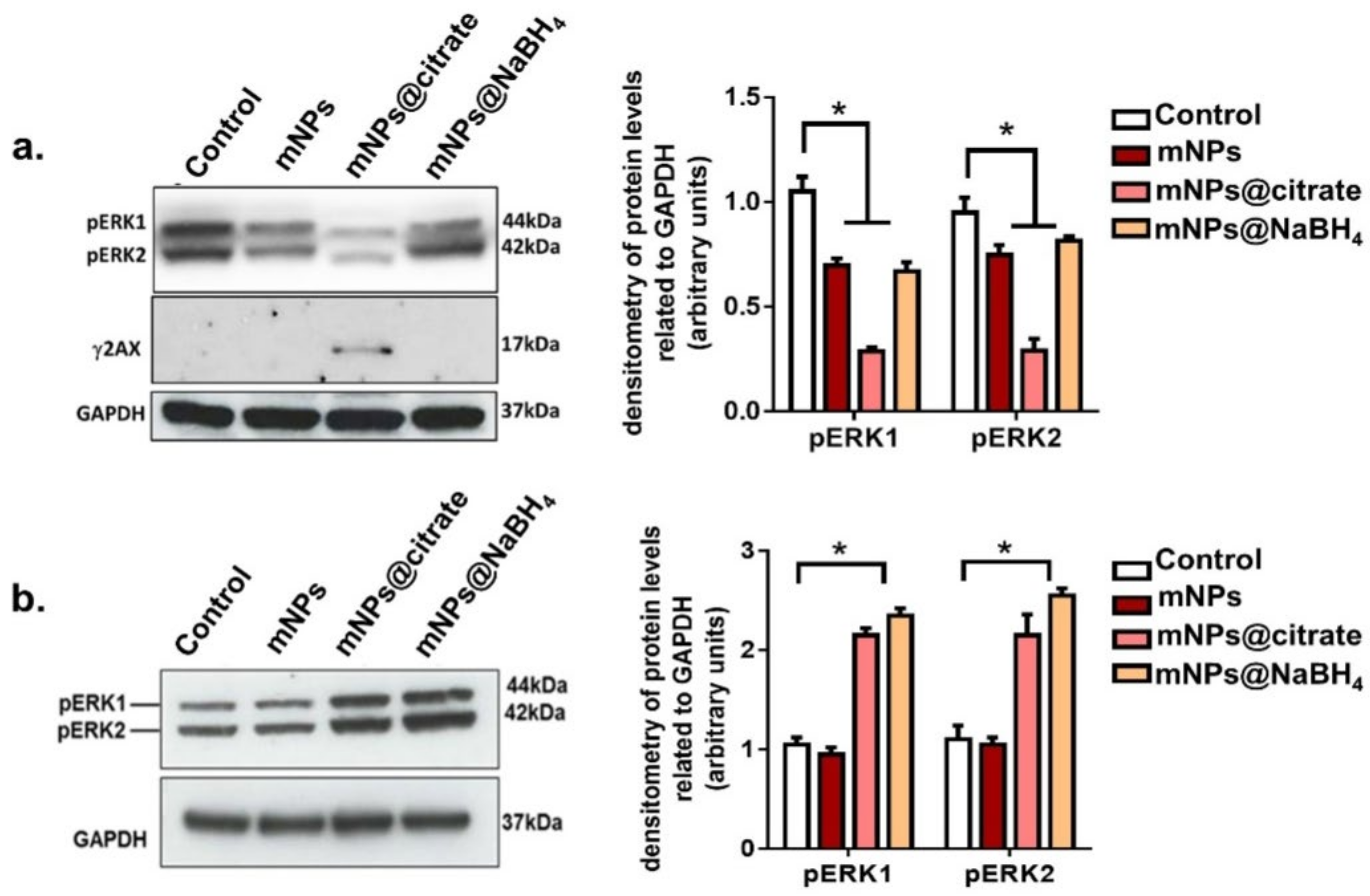 Pharmaceutics 16 00527 g006