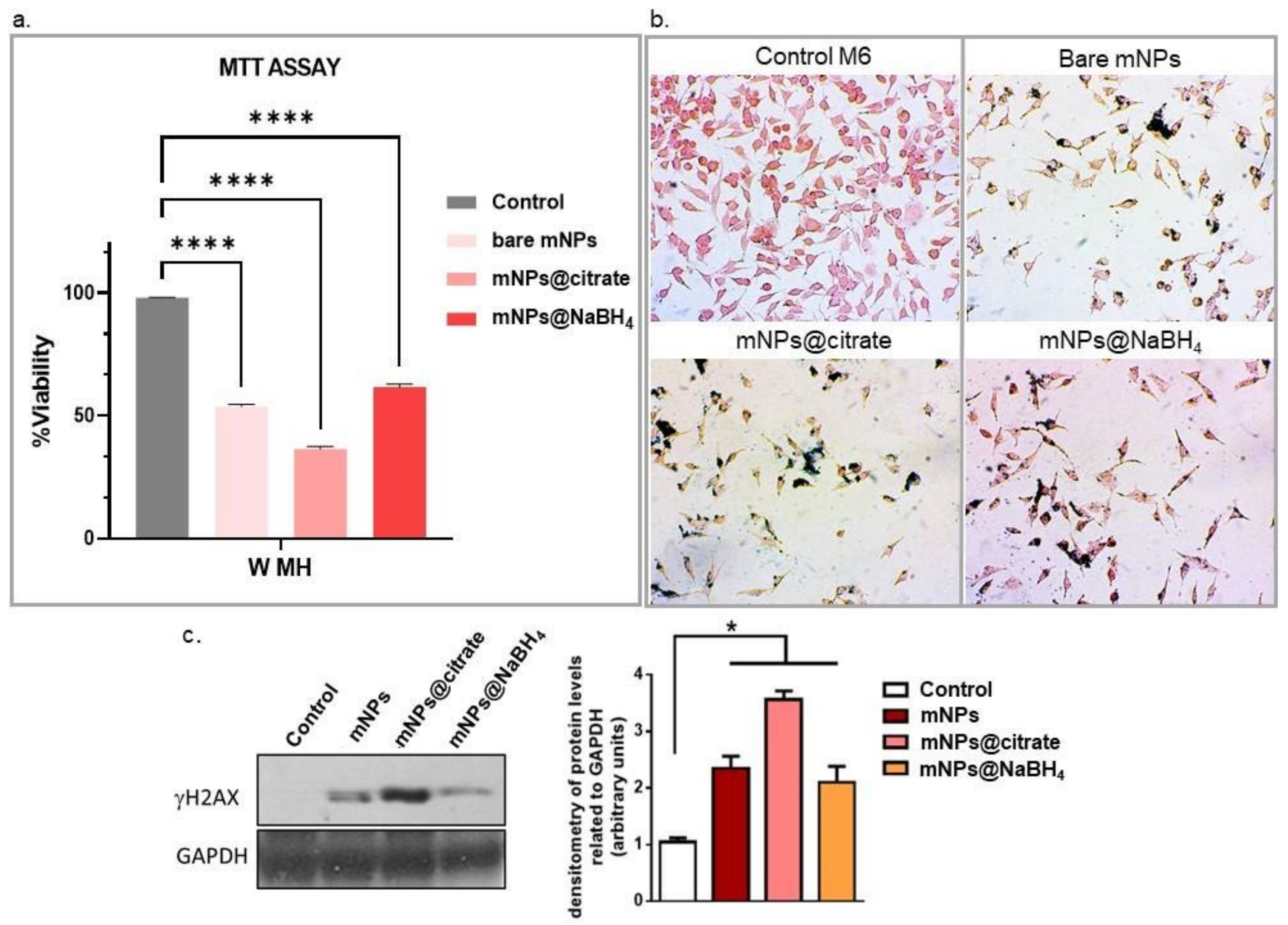 Pharmaceutics 16 00527 g008