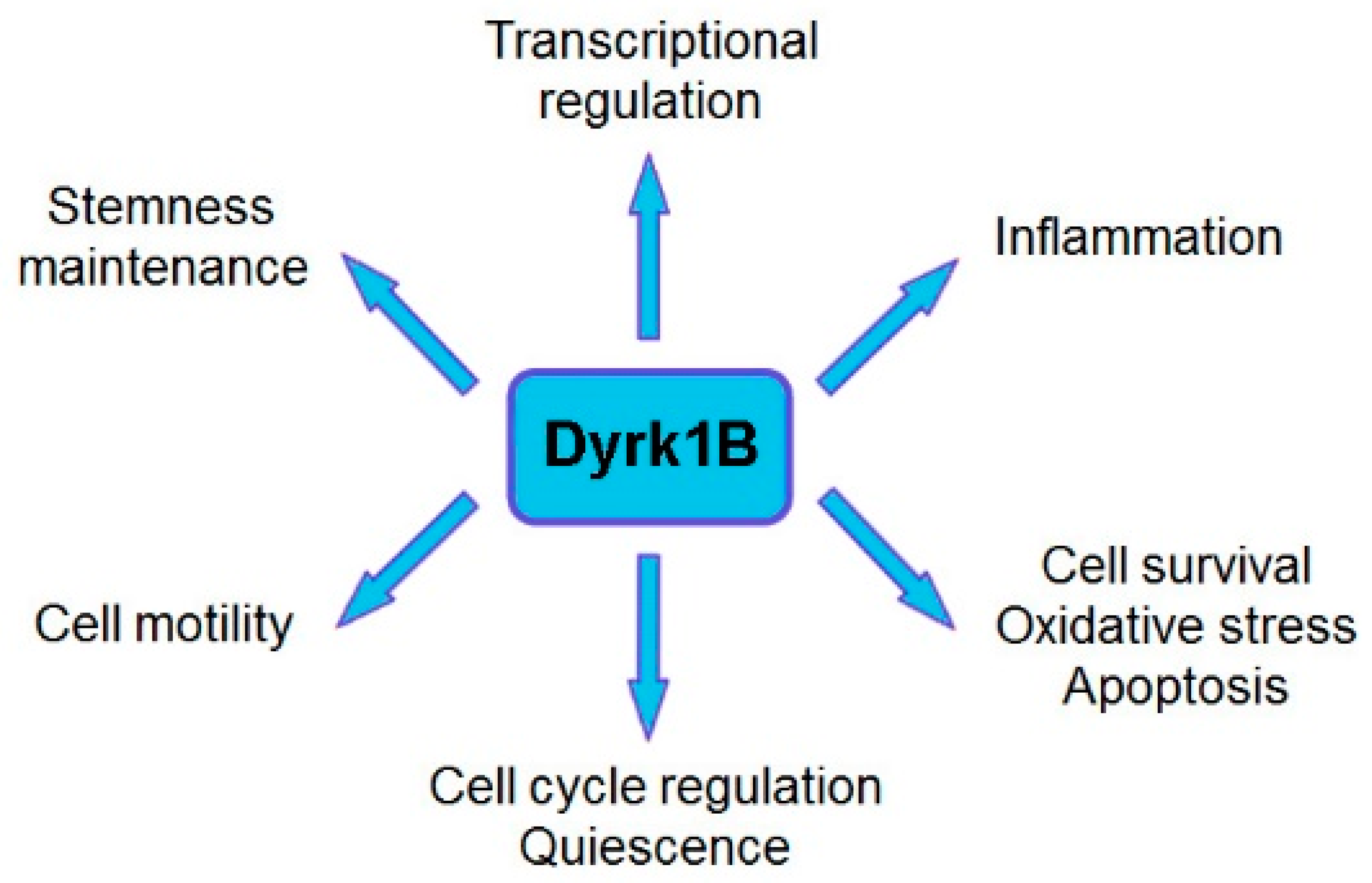 Pharmaceutics 16 00528 g001 Pharmaceutics 16 00528 g001