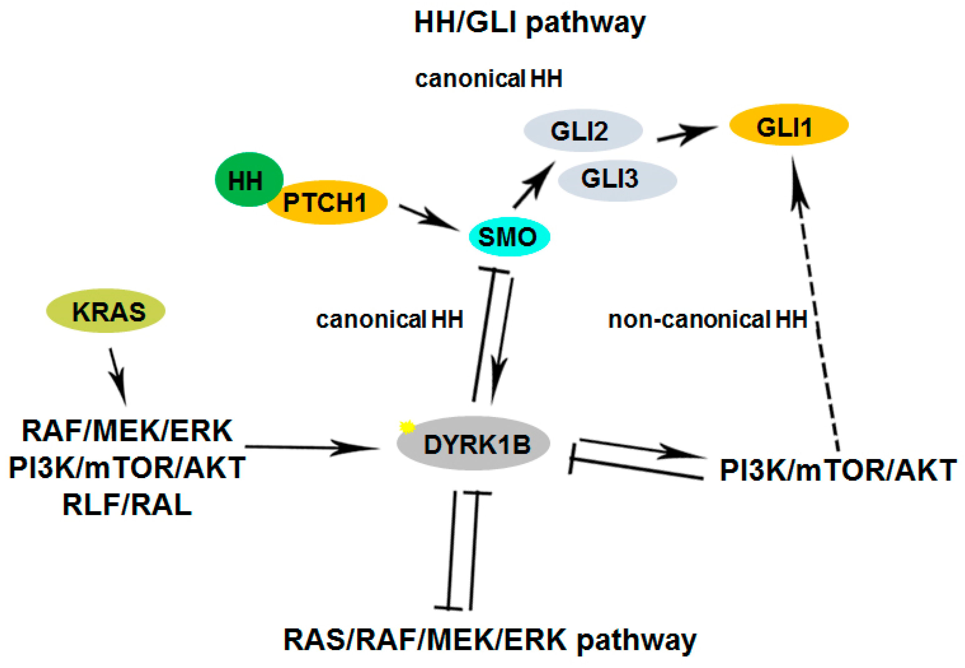 Pharmaceutics 16 00528 g002 Pharmaceutics 16 00528 g002