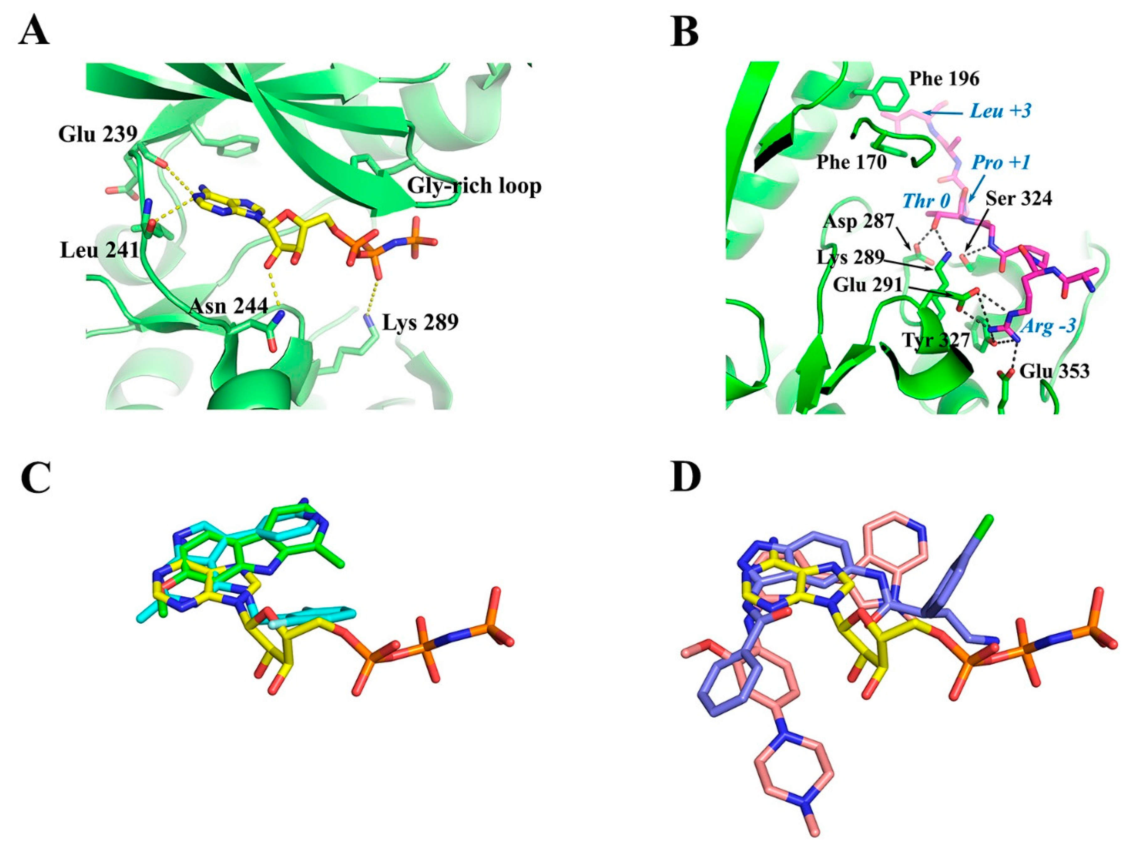 Pharmaceutics 16 00528 g006 Pharmaceutics 16 00528 g006