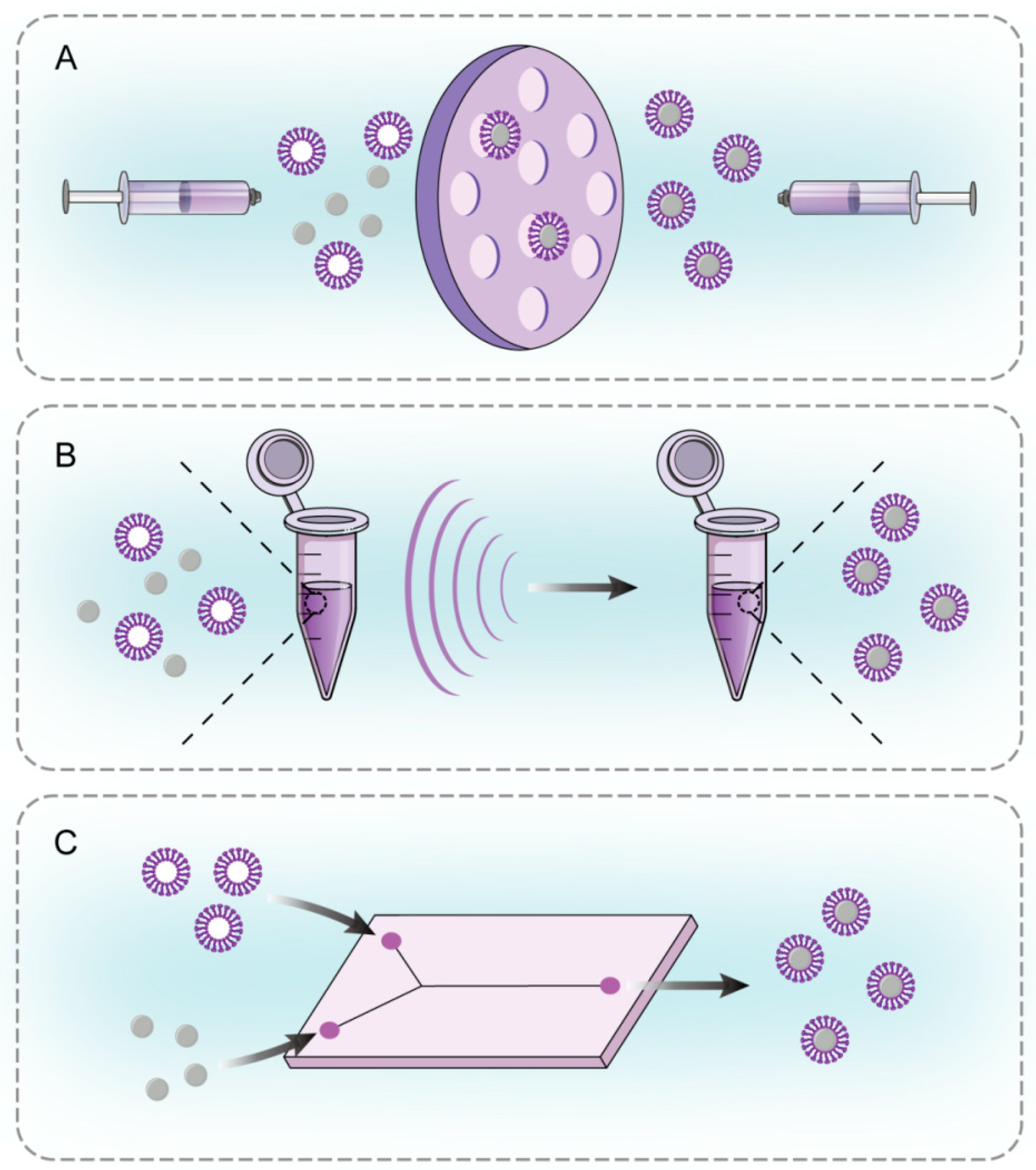 Pharmaceutics 16 00531 g002