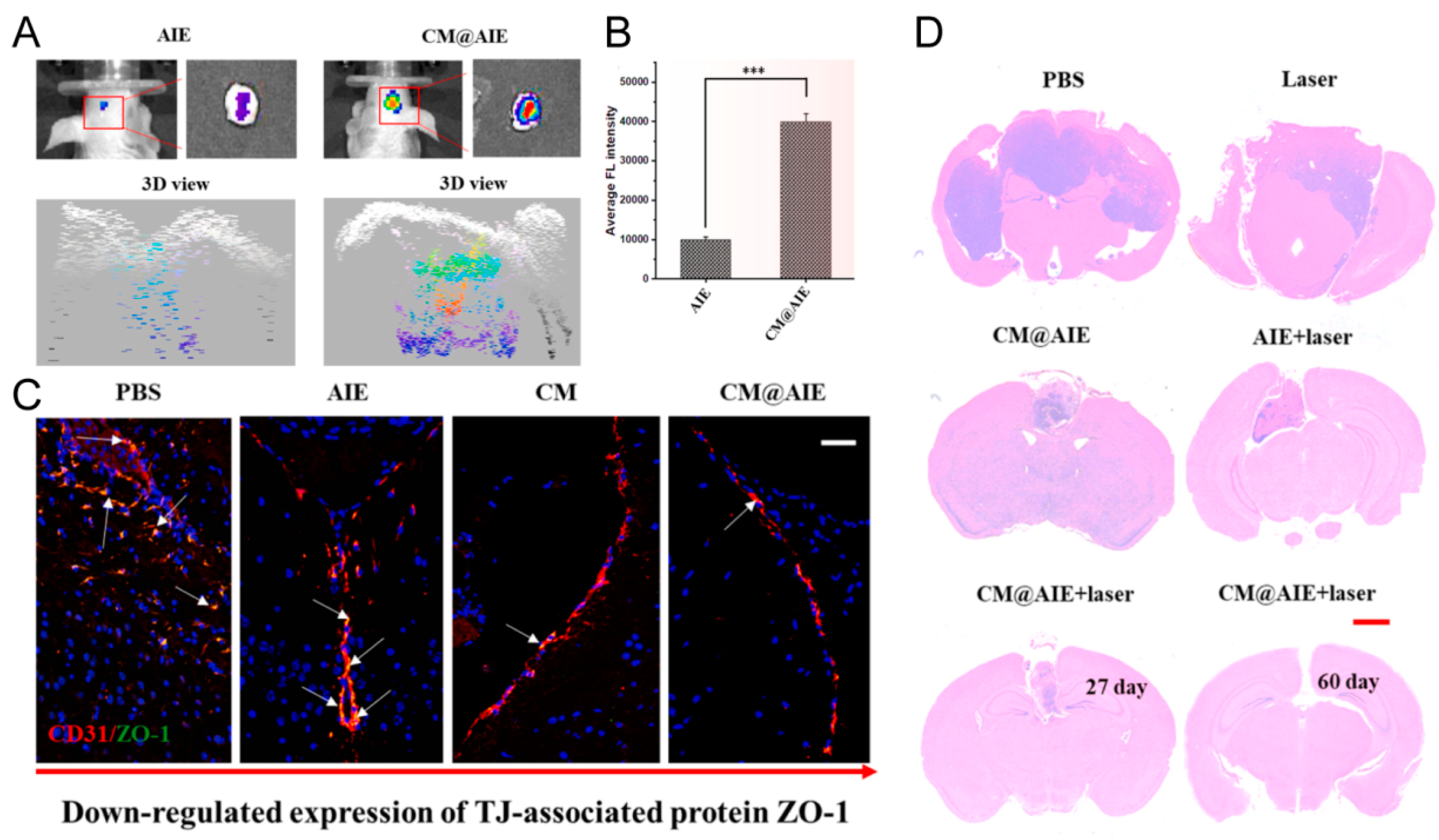 Pharmaceutics 16 00531 g009