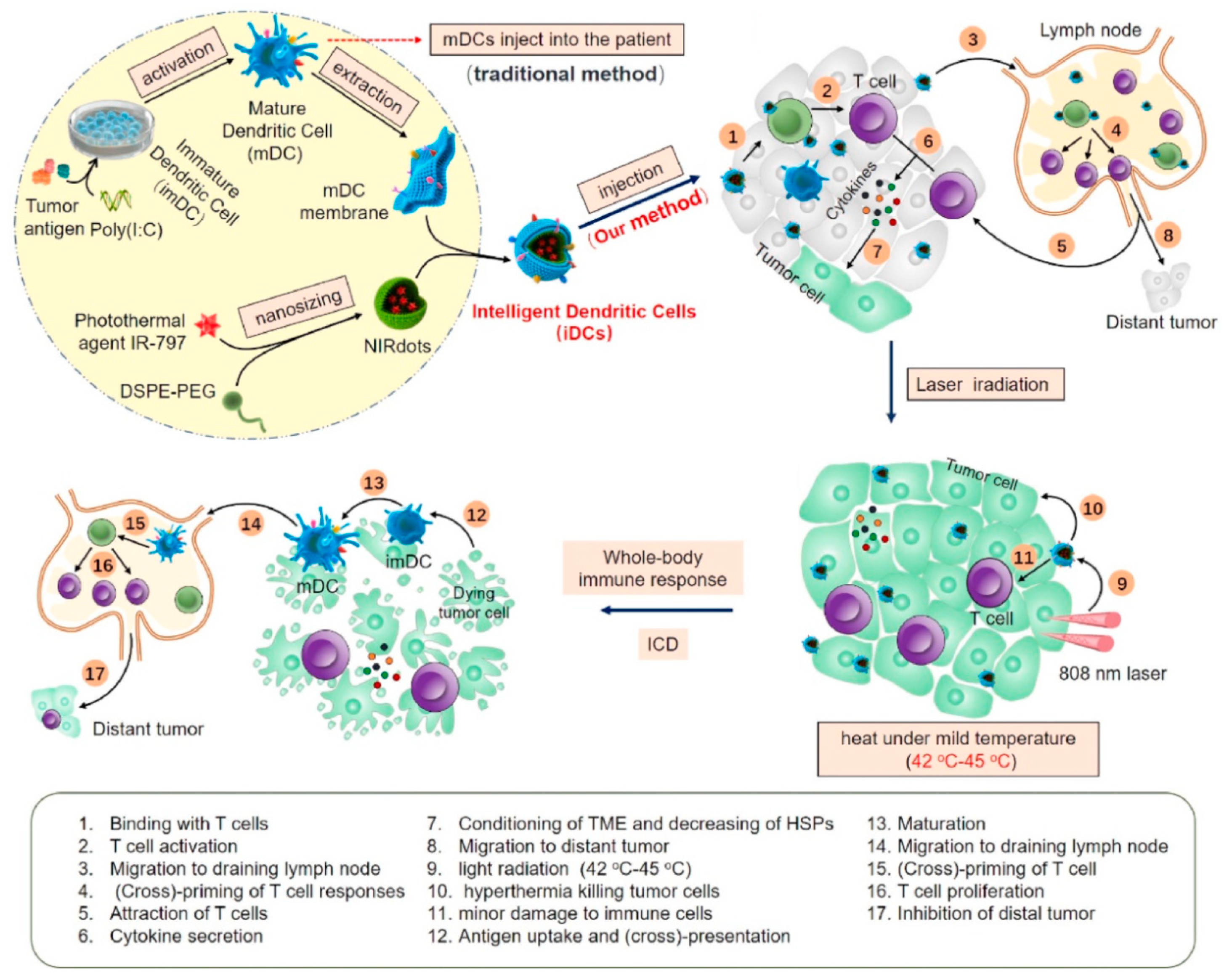 Pharmaceutics 16 00531 g010